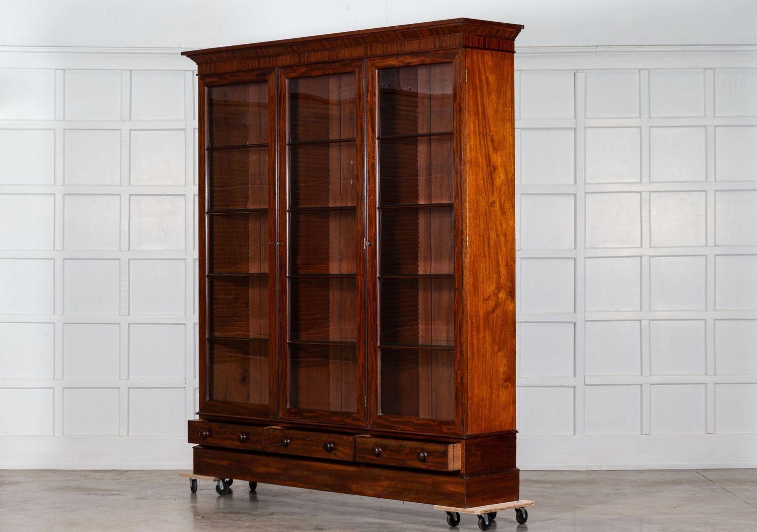 Cabinet Vitrine in mogano smaltato inglese del XIX secolo in vendita 2