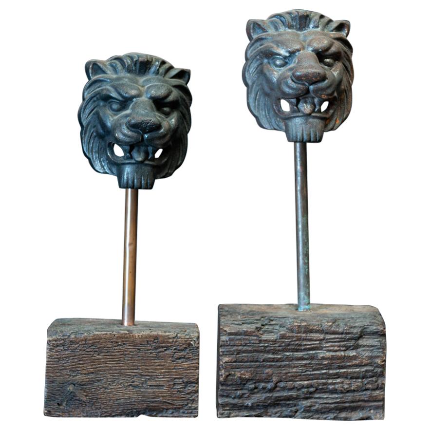 19th Century English Pair of Cast Iron Mounted Lion Masks For Sale