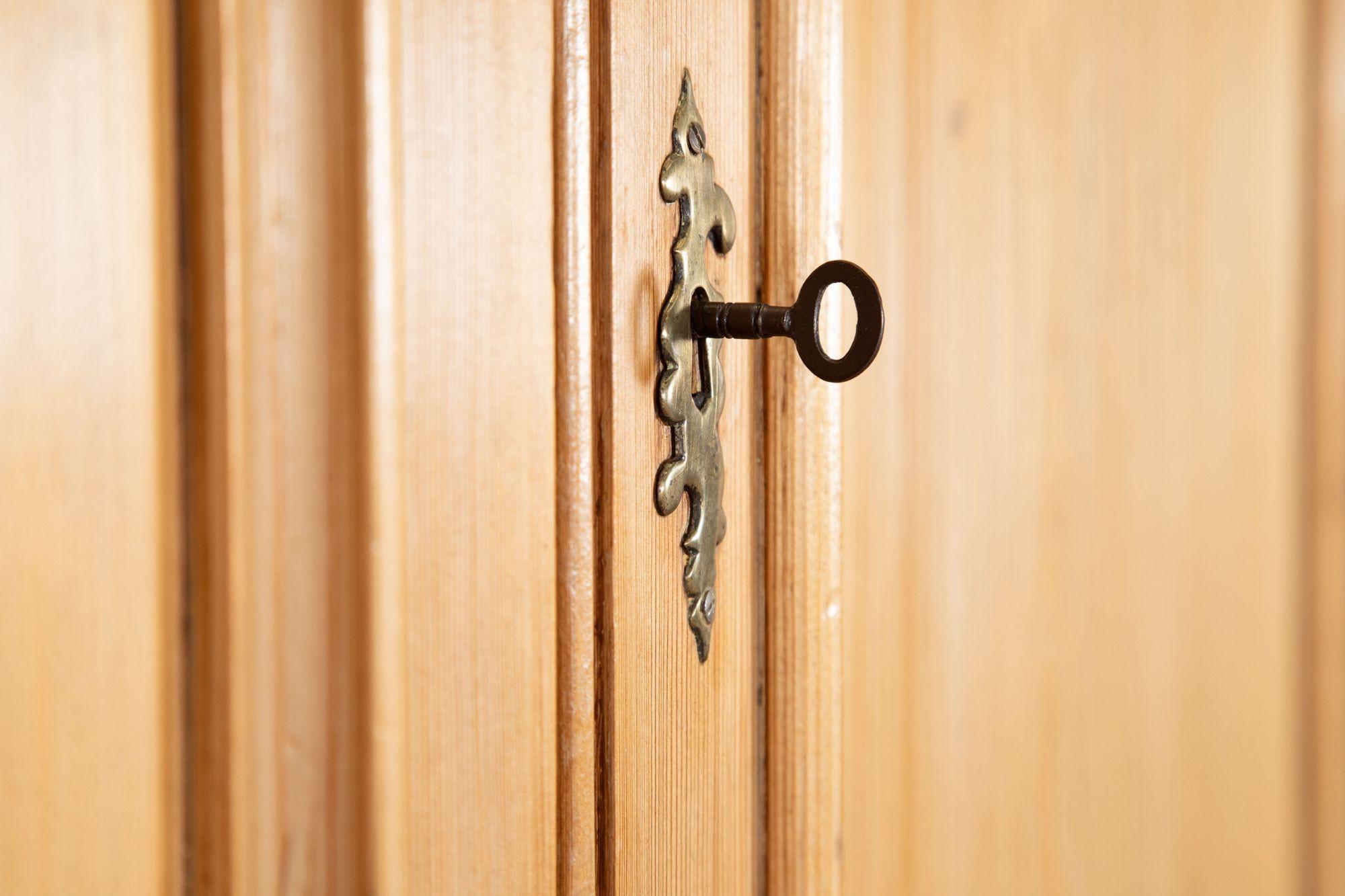 Armadio per biancheria in pino inglese del XIX secolo in vendita 6