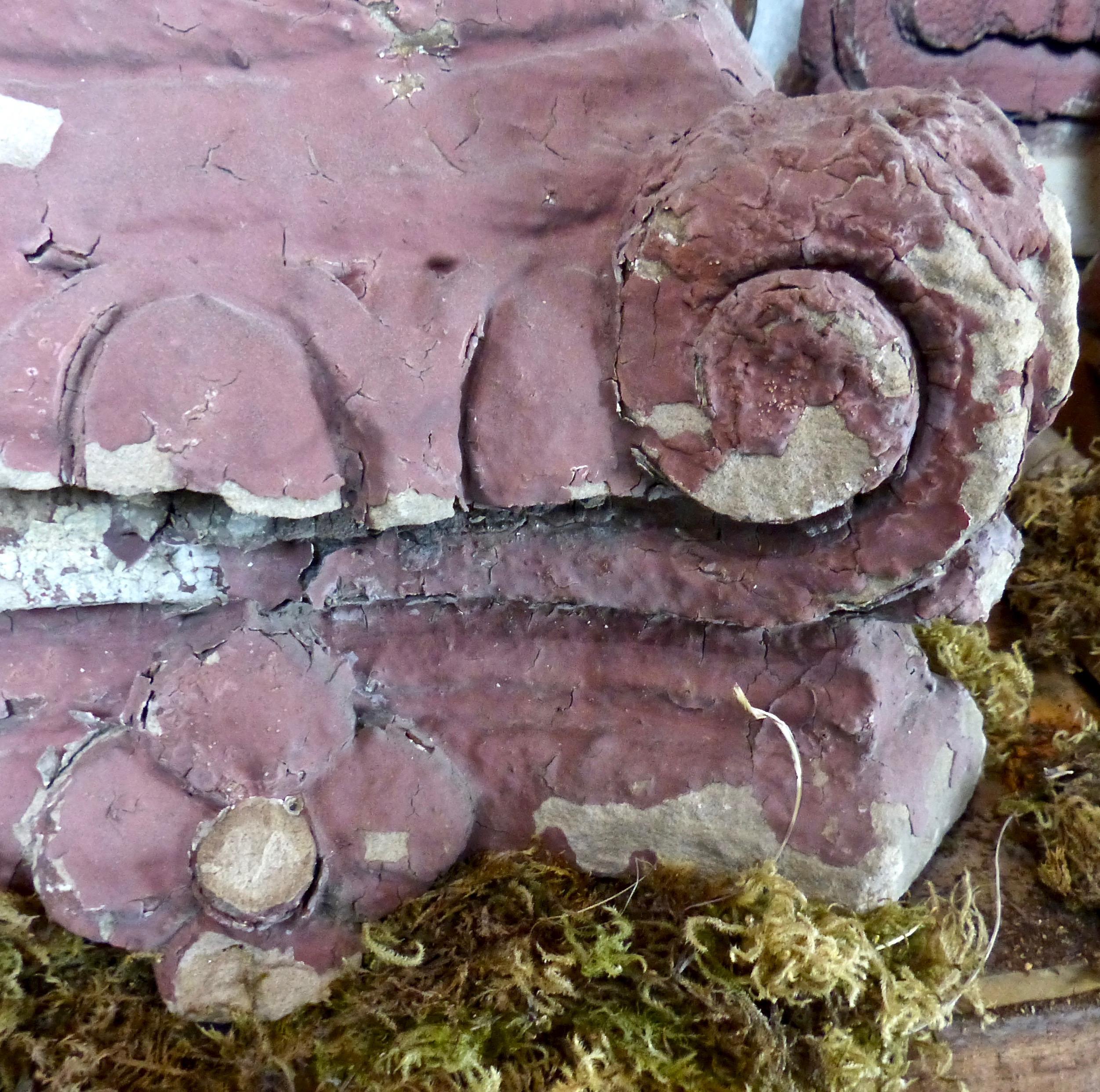 A quartet of Greco-Roman-style exterior building ornaments/capitals. Limestone btb early 19th century, they have weathered to a desirable texture. Use these extraordinary examples of architectural salvage on your patio or garden (as ornaments or