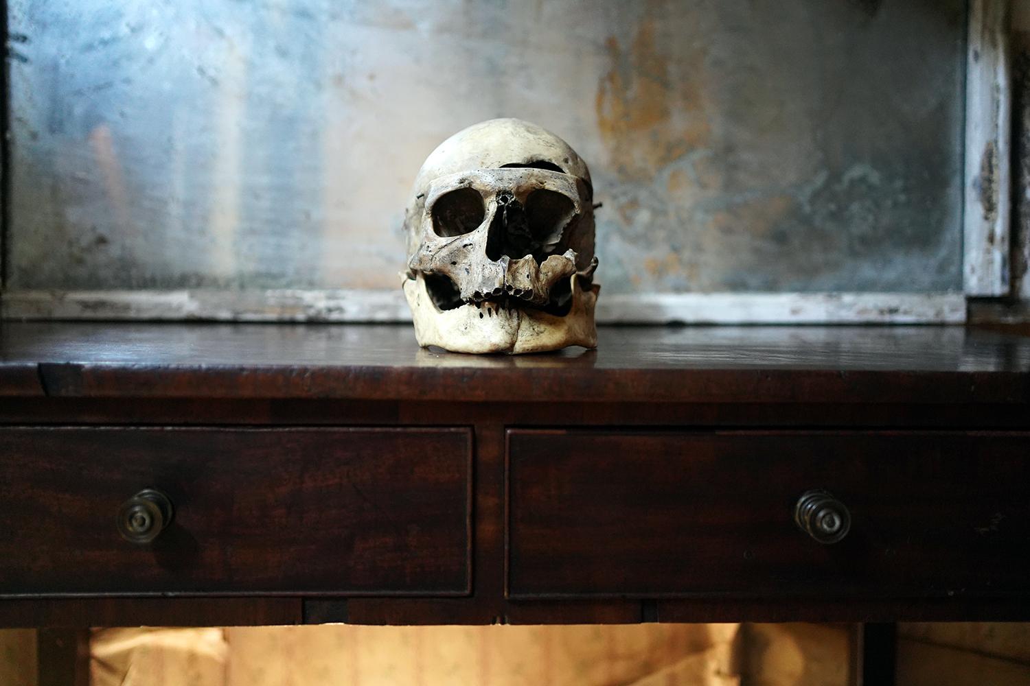 19thC Human Skull Inscribed for Phrenological Demonstration For Sale 13