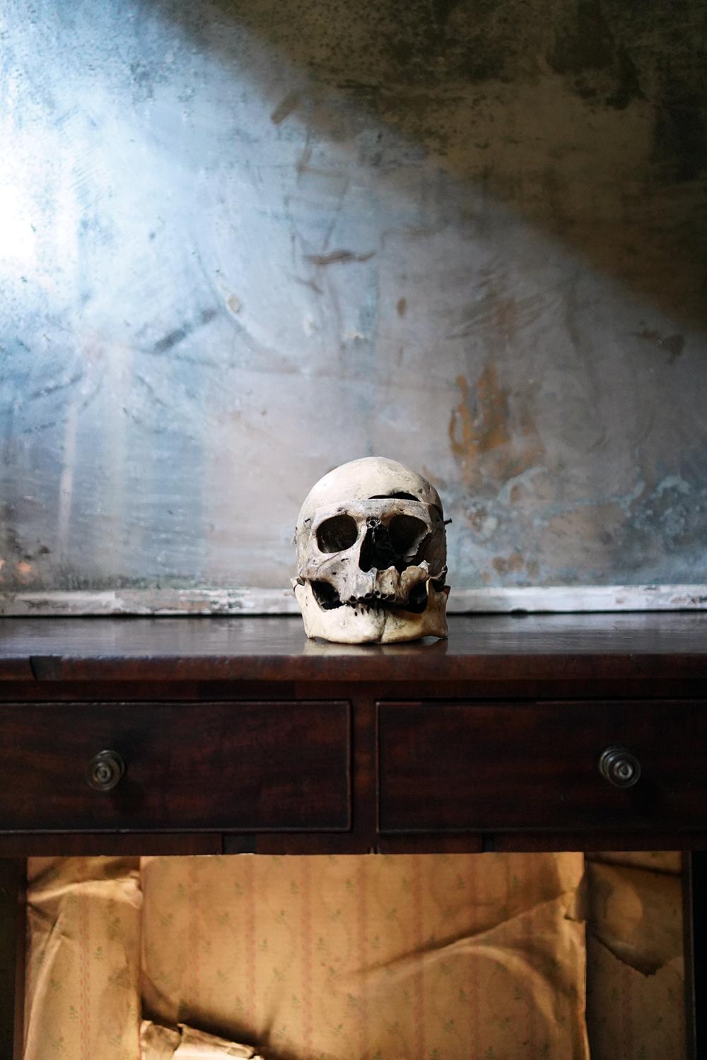 19thC Human Skull Inscribed for Phrenological Demonstration For Sale 14