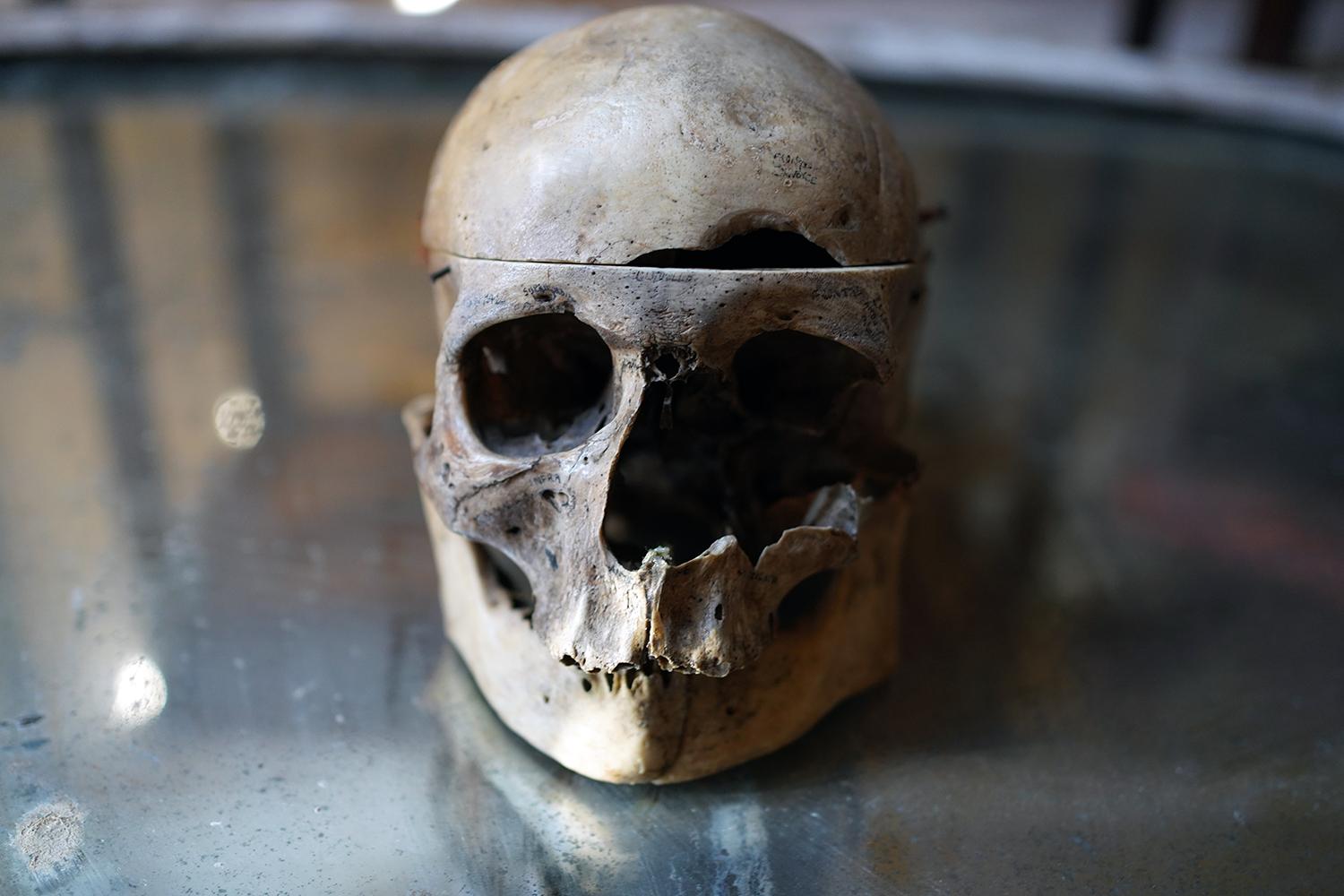 Bone 19thC Human Skull Inscribed for Phrenological Demonstration For Sale