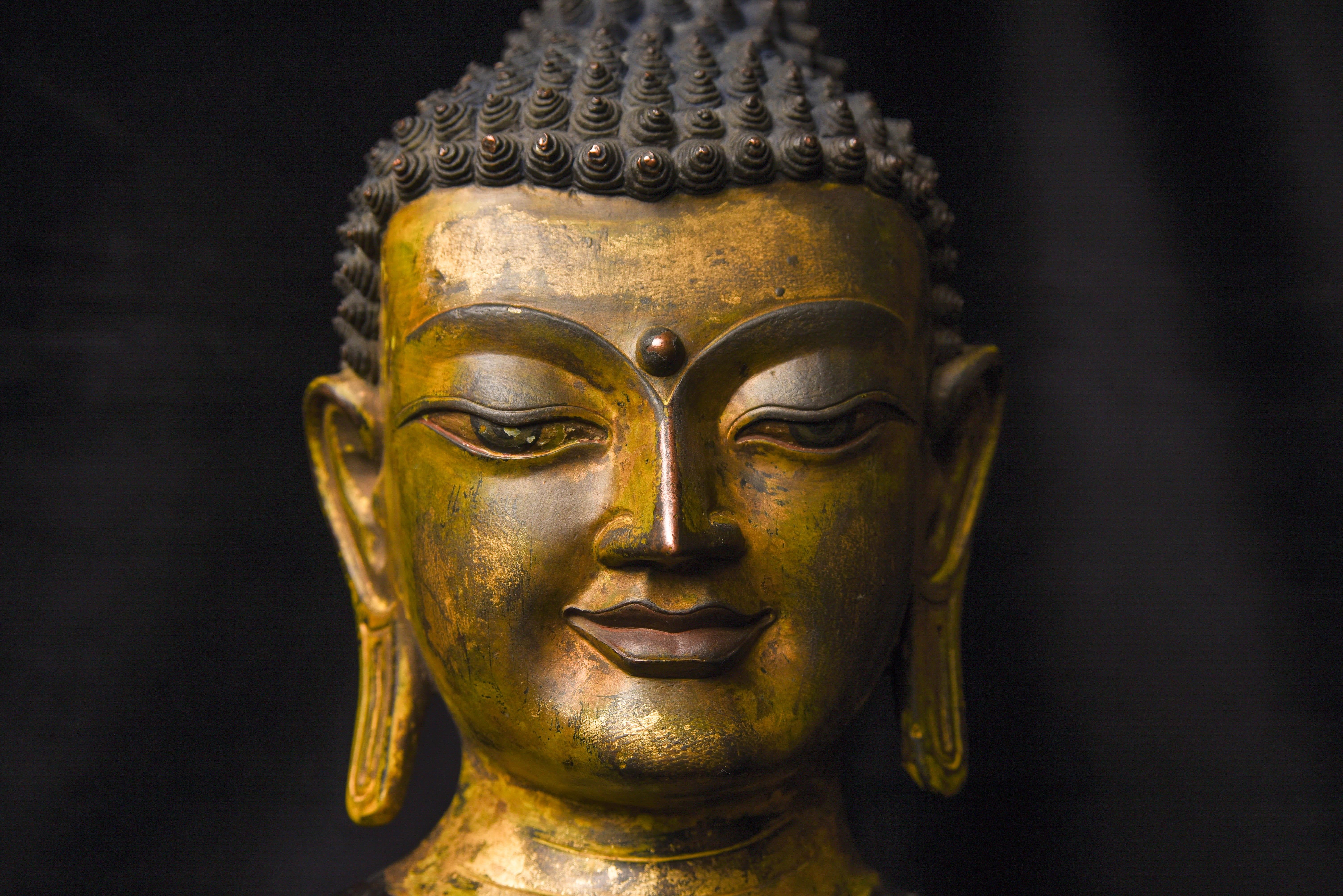 19th C Large, Fine Tibetan Bronze Buddha-World Class Sculpture 11