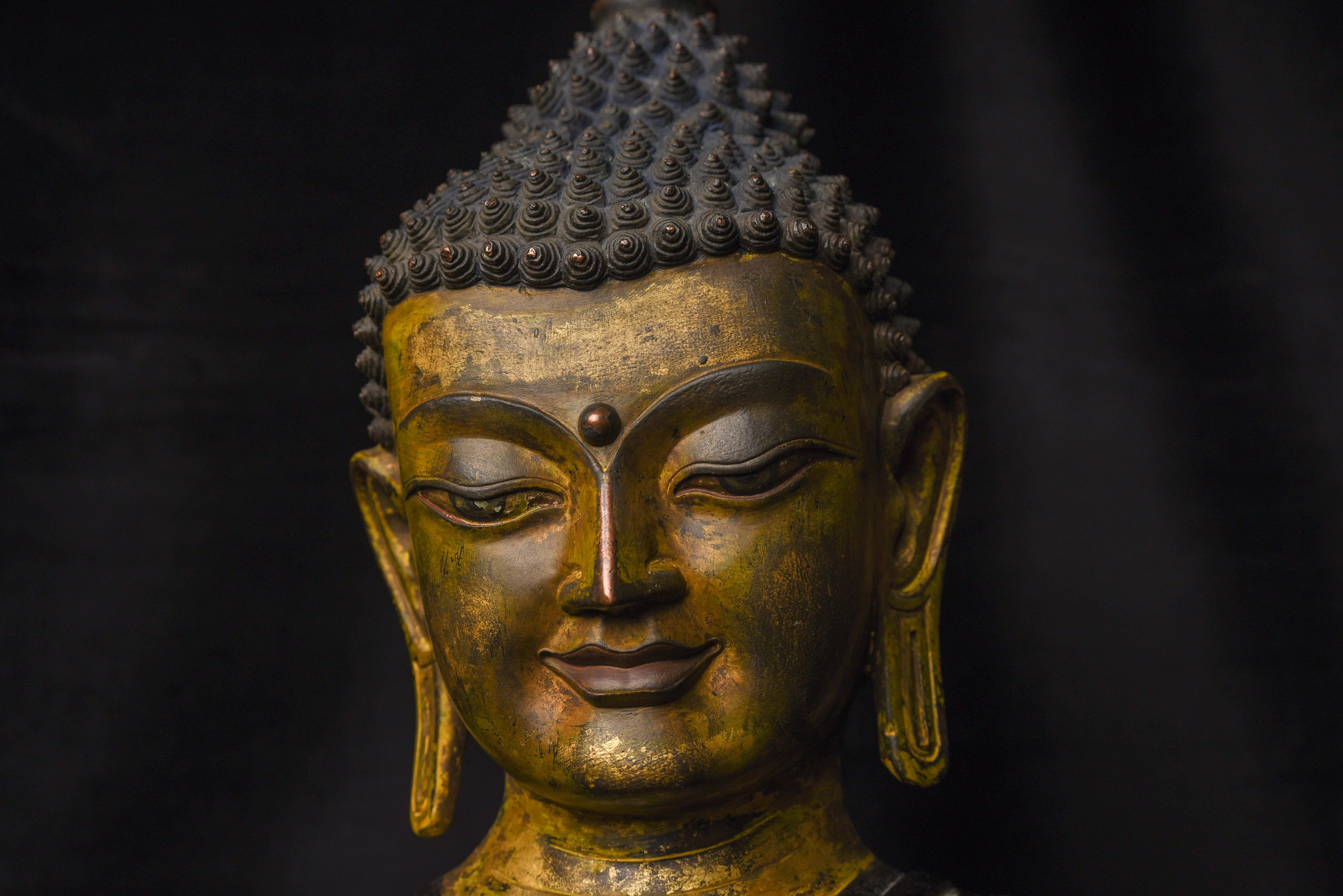 19th C Large, Fine Tibetan Bronze Buddha-World Class Sculpture 12