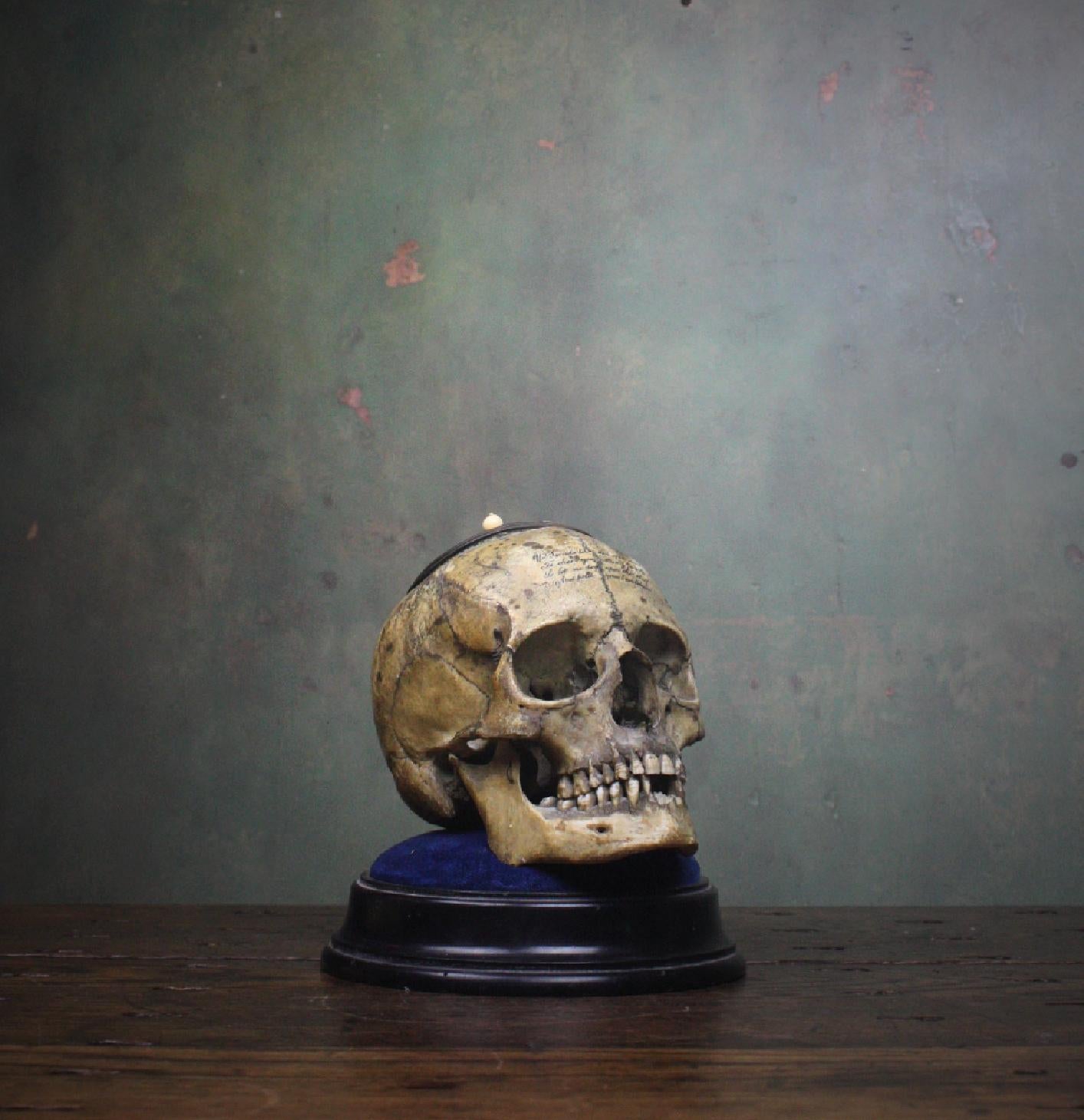 Memento Mori Human Skull Bone Tobacco Jar with Rhyme Masonic Freeman's 1