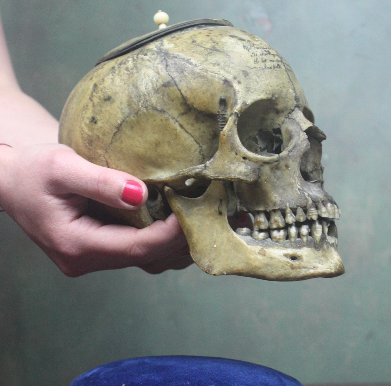 Memento Mori Human Skull Bone Tobacco Jar with Rhyme Masonic Freeman's 3