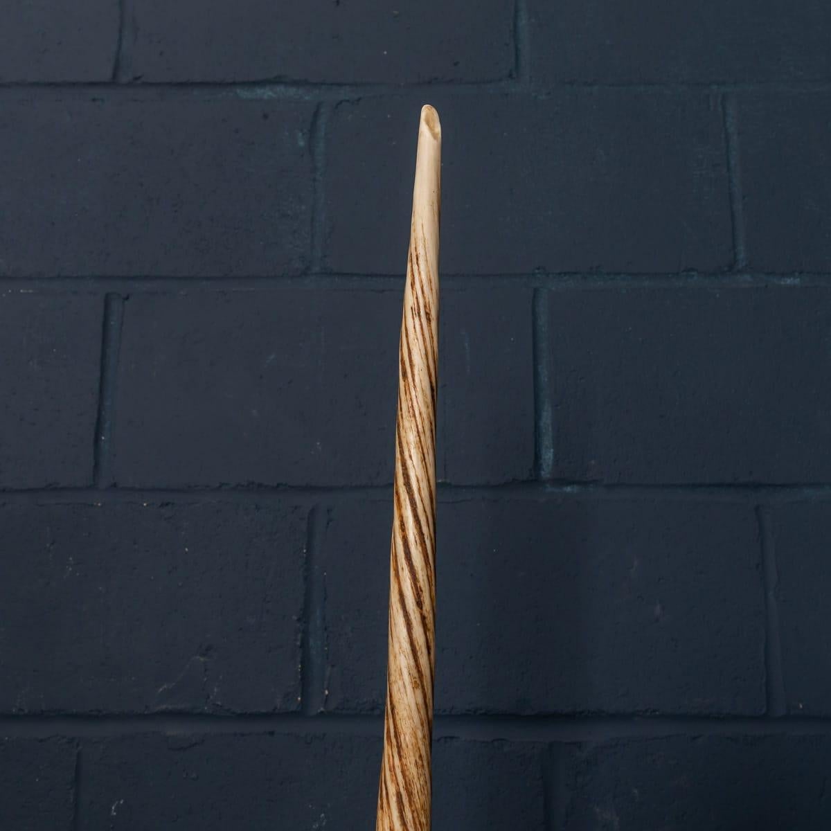 19th Century Narwhal Tusk with Cites Certificate, circa 1890 3