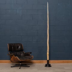 19th Century Narwhal Tusk with Cites Certificate, circa 1890