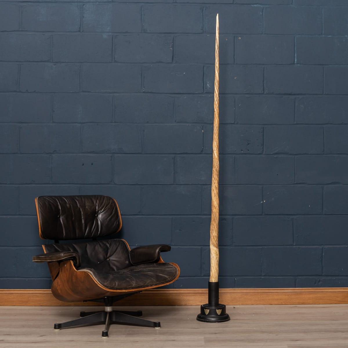 narwhal tusk made of