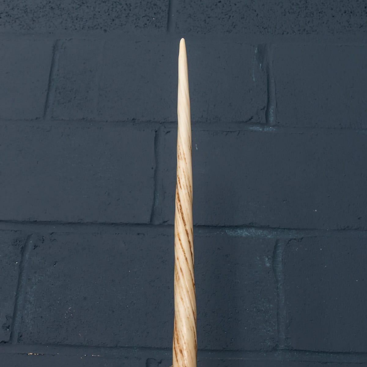 narwalhorn kaufen