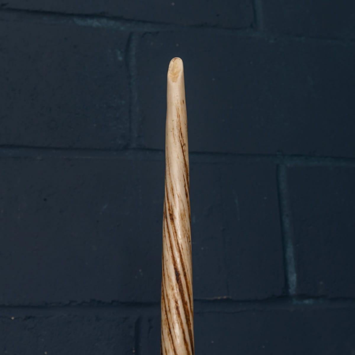 how much is a narwhal tusk worth
