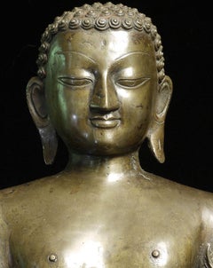 19thC Nepalese Jain Bronze Jina with Vines Growing up His Legs. Large, Well Cast