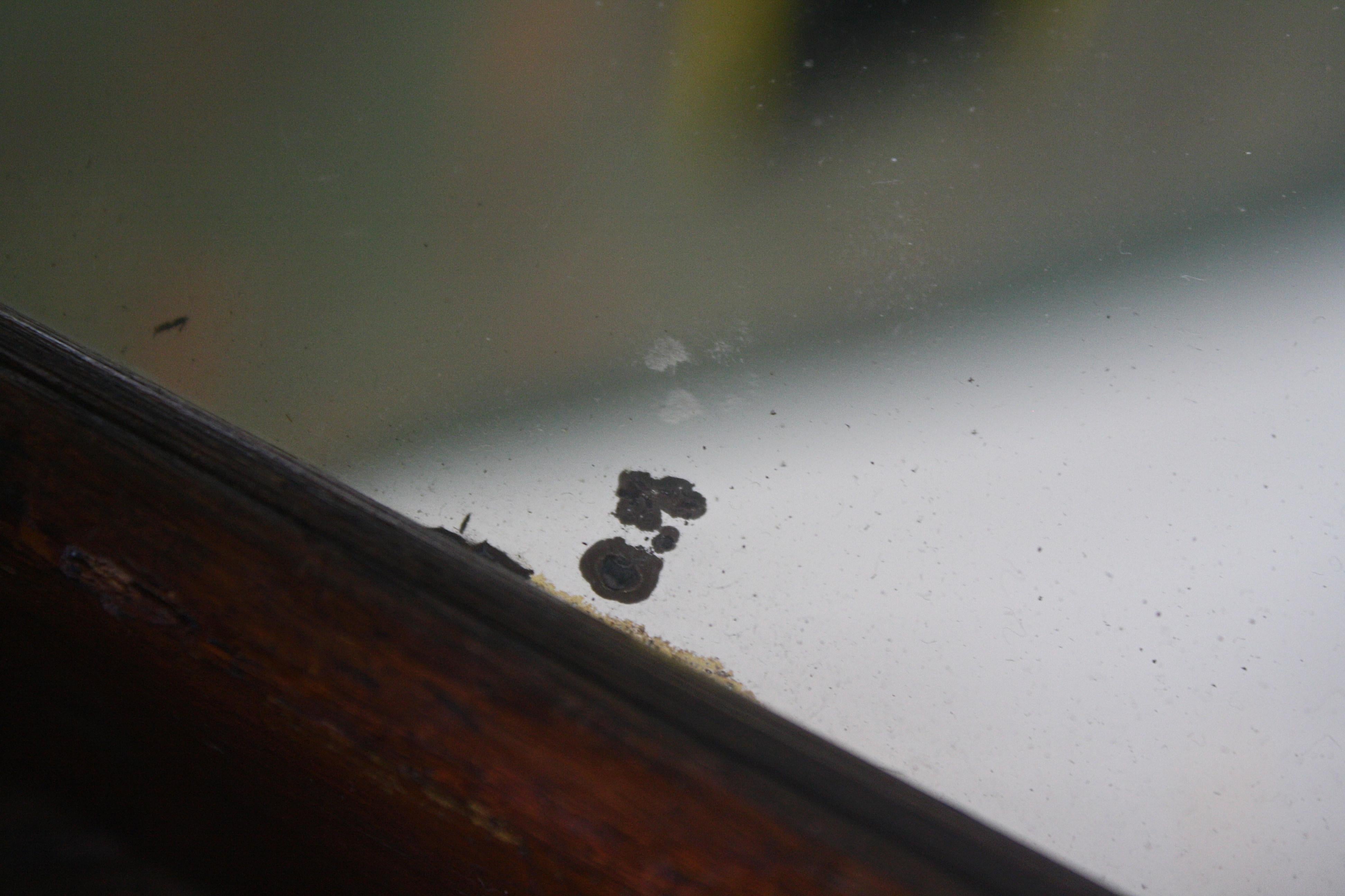 19th C Pair of Peep Show Fairground Carnival Distortion Mirrors Concave Convex 3