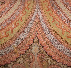 19Thc Paisley Pillows With Burnt Rust  Velvet  Backings-Pair
