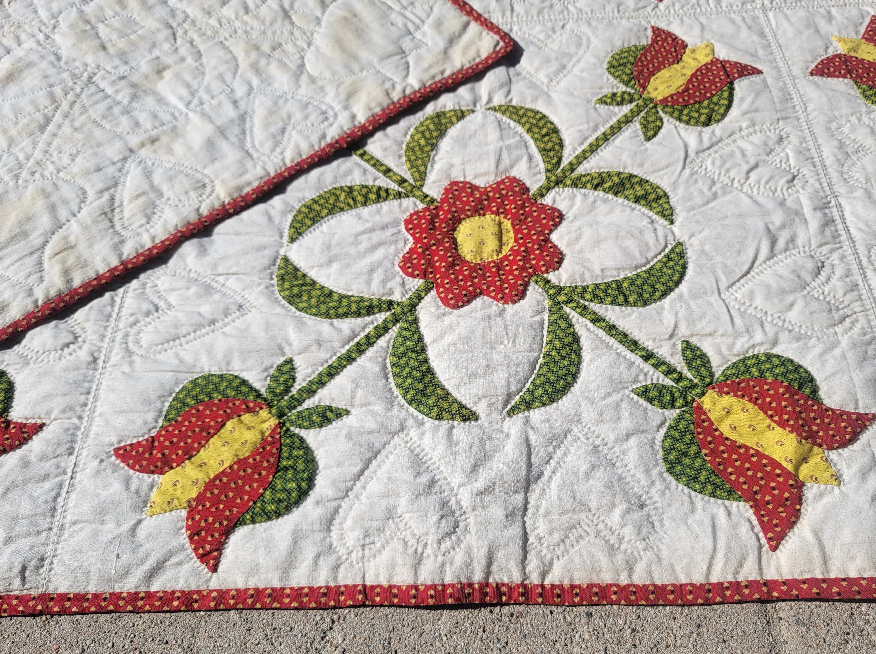 19Thc Pennsylvania applique quilt from Lancaster County,Pennsylvania in fine condition.This amazing applique quilt comes from a very special folk art & quilt collection. The double tulips applique is quite unique and found in Pennsylvania folk art &