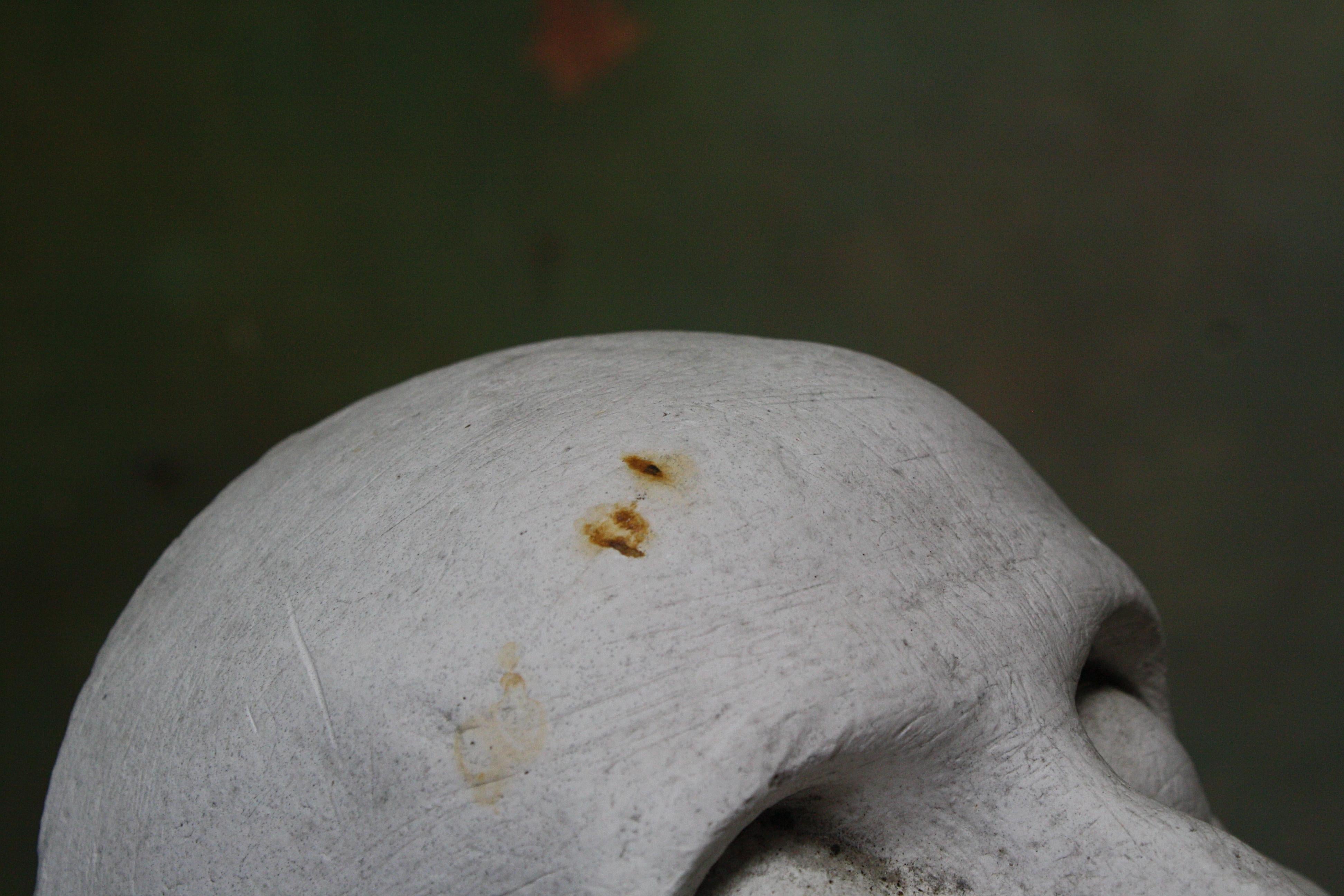 Plaster Mortuary Death Mask Bust Sculpture on Socle Base Memento Mori 5