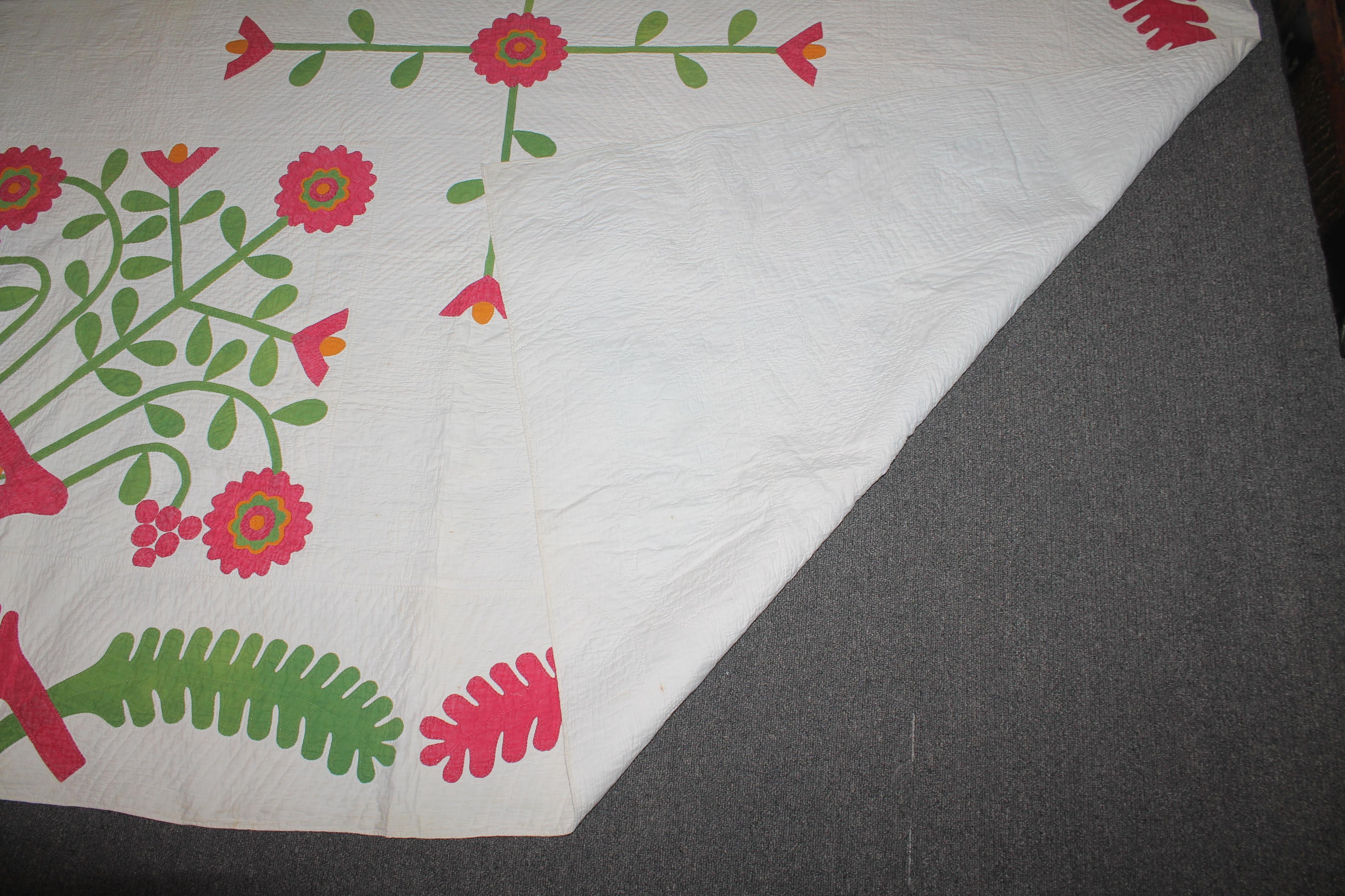 19th Century Rare Applique Album Quilt from Pennsylvania 3