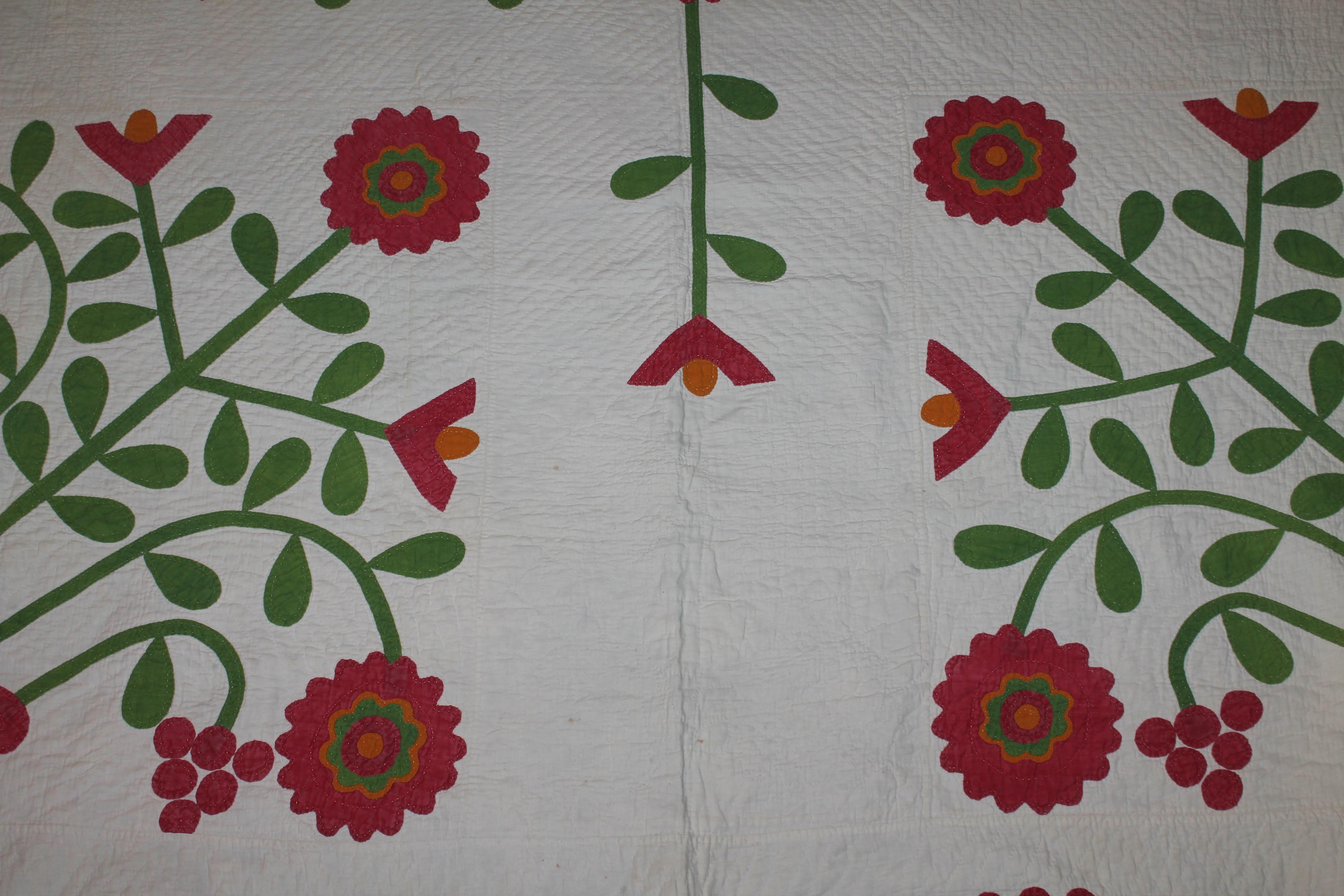 Folk Art 19th Century Rare Applique Album Quilt from Pennsylvania