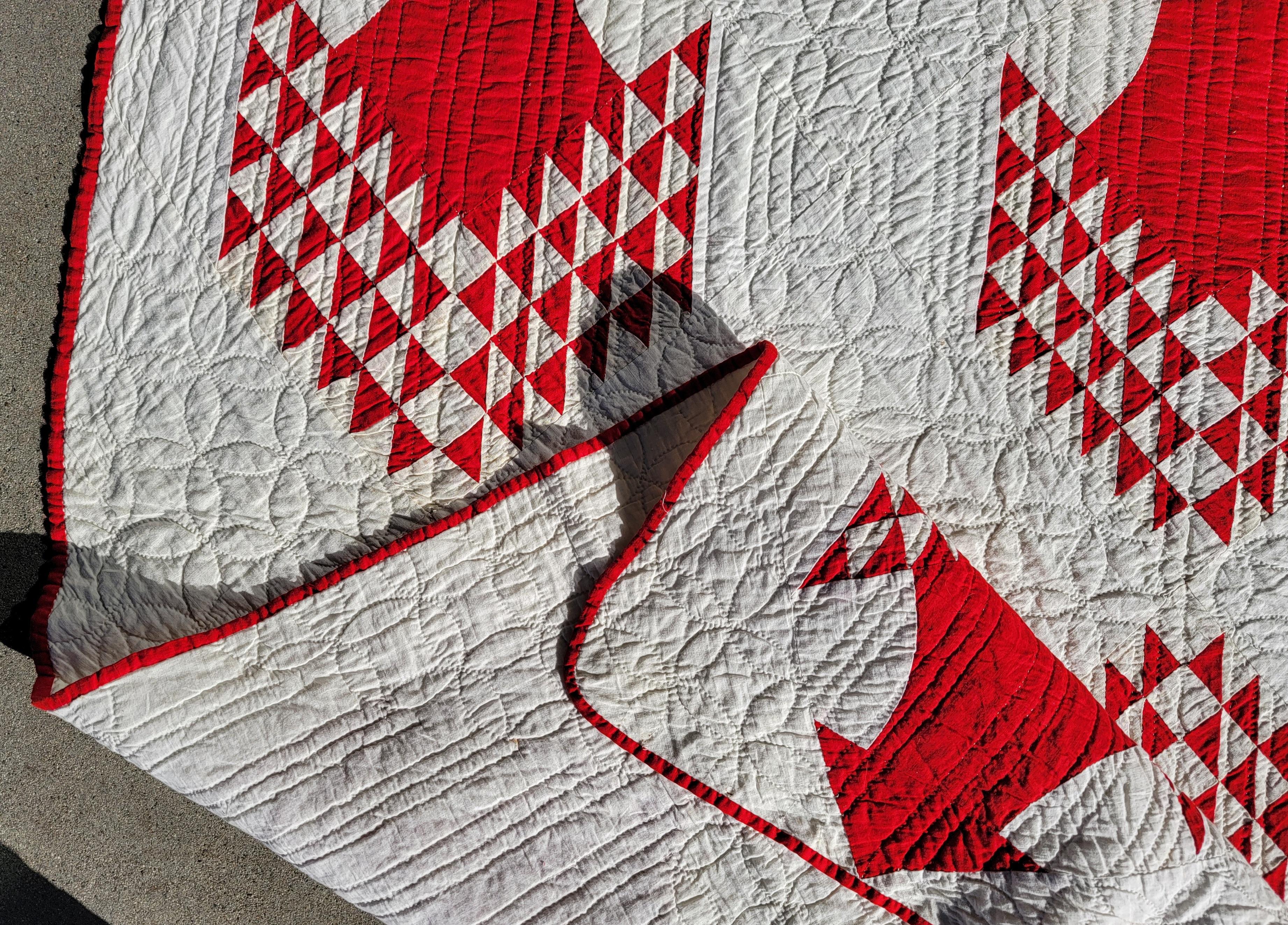 Cotton 19thc Red & White Tree of Life Quilt