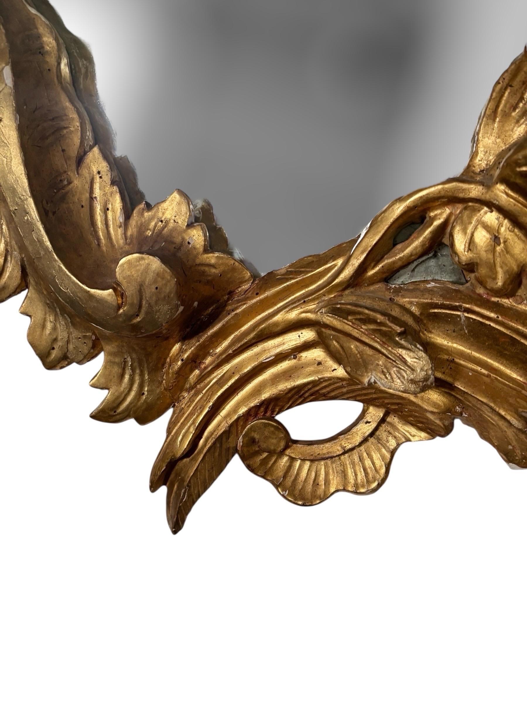 French 19thC Rococo Giltwood Mirror For Sale