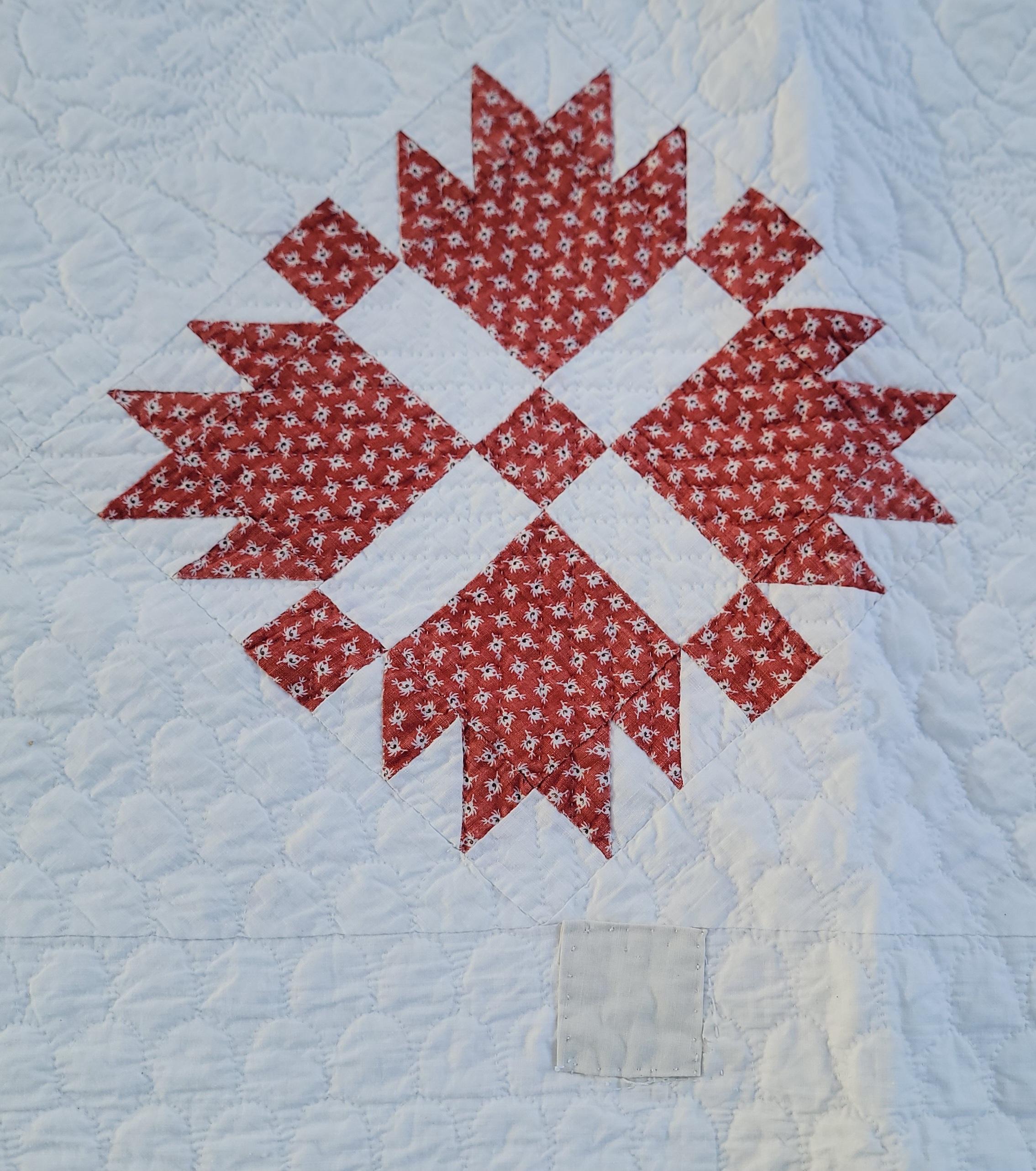 American 19thc Rust Calico  Bear Paw Quilt For Sale