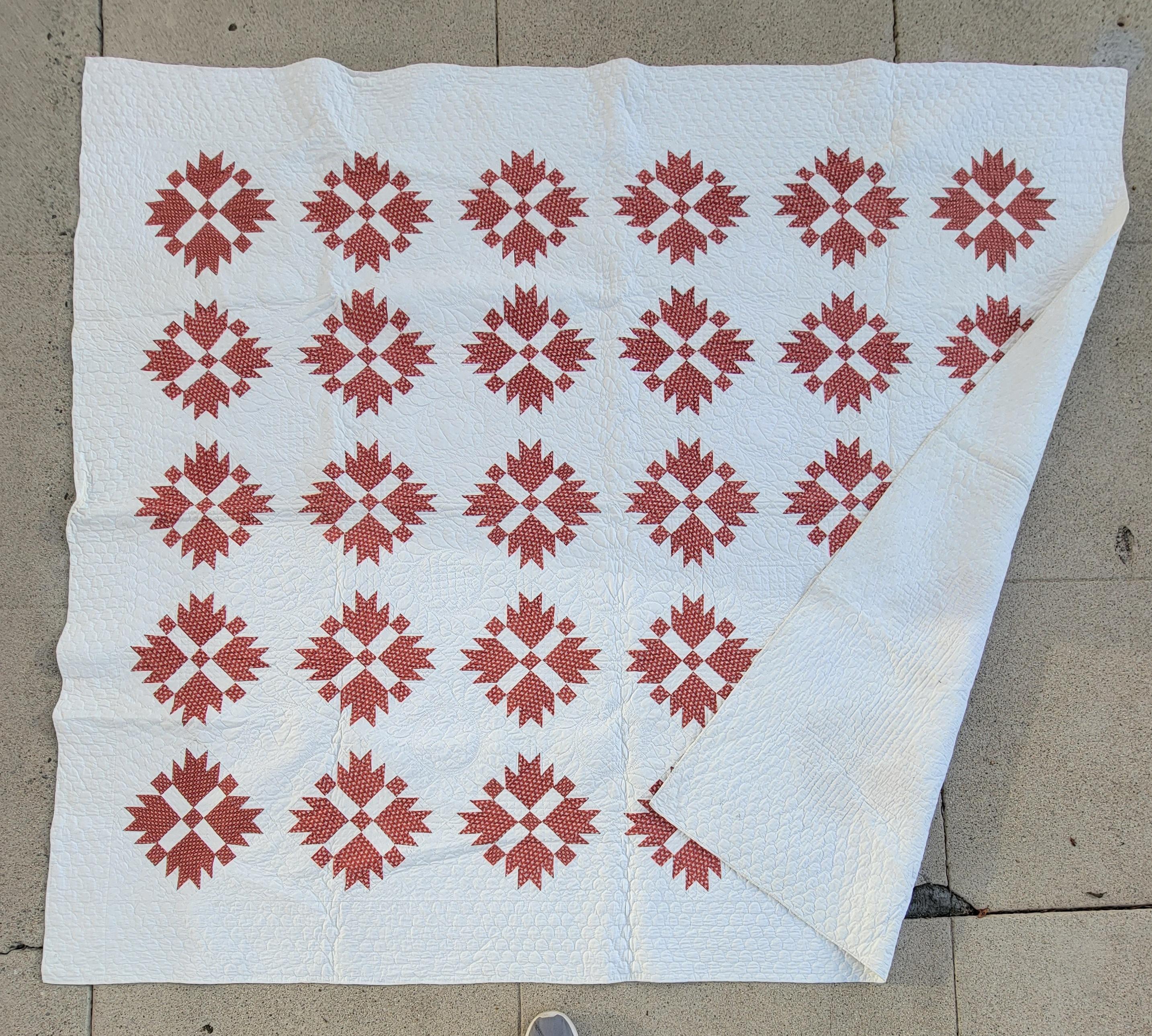 19thc Rust Calico  Bear Paw Quilt In Good Condition For Sale In Los Angeles, CA