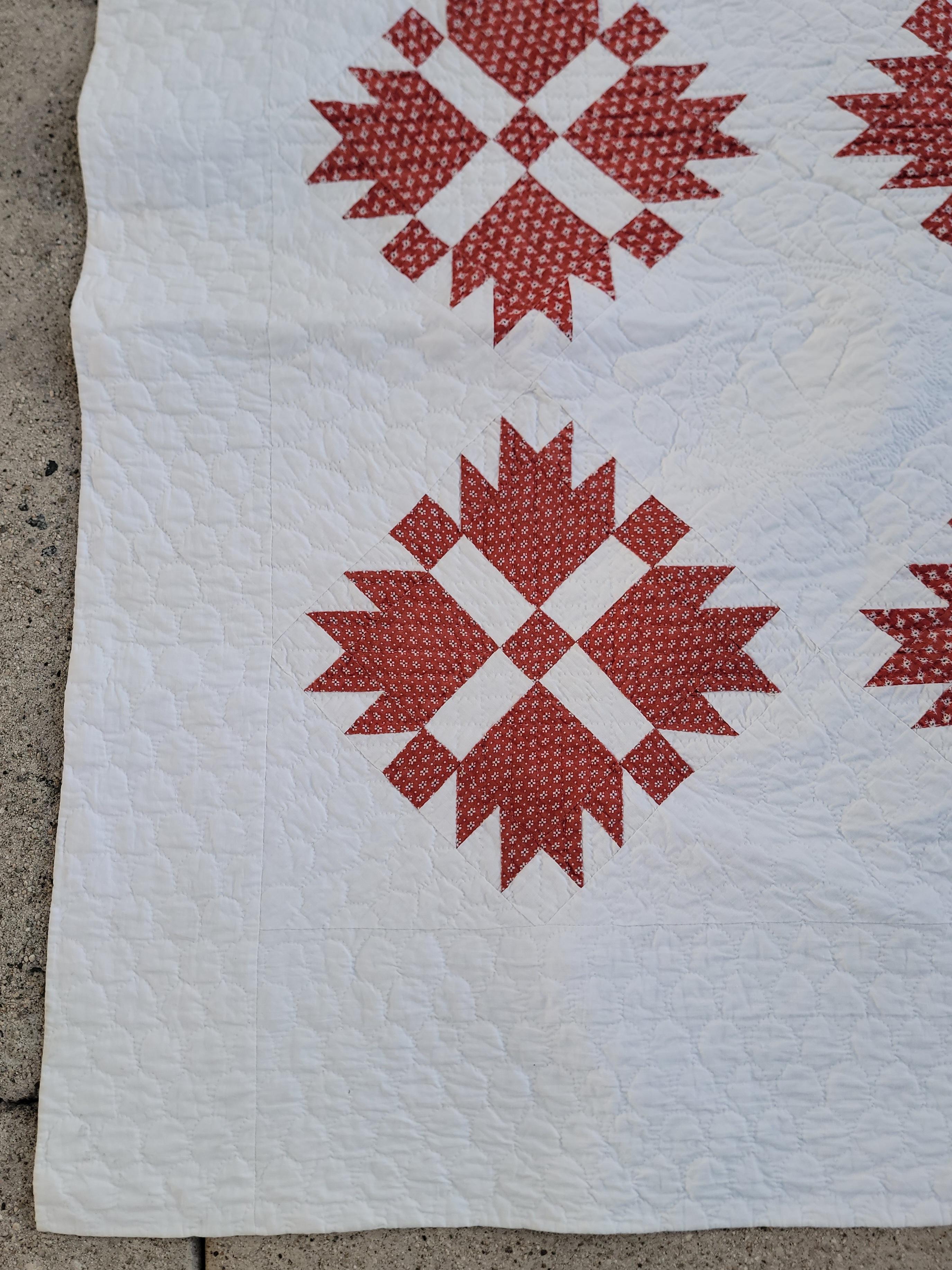 Cotton 19thc Rust Calico  Bear Paw Quilt For Sale