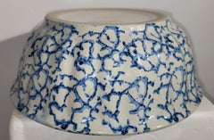 19thc SpongeJello Bowl