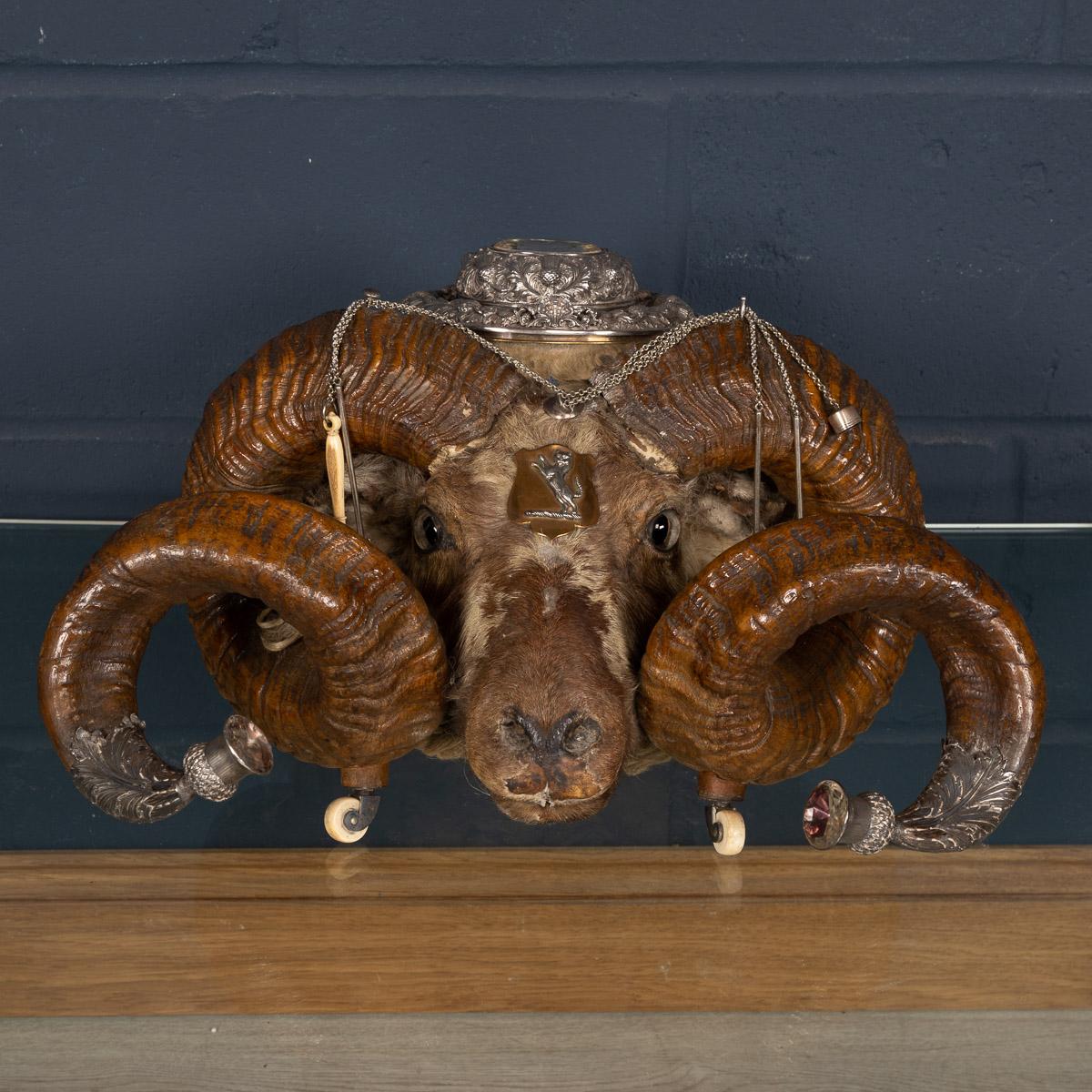 Scottish 19th Century Victorian Silver Mounted Ram’s Head Snuff Mull, Mckay & Chisholm