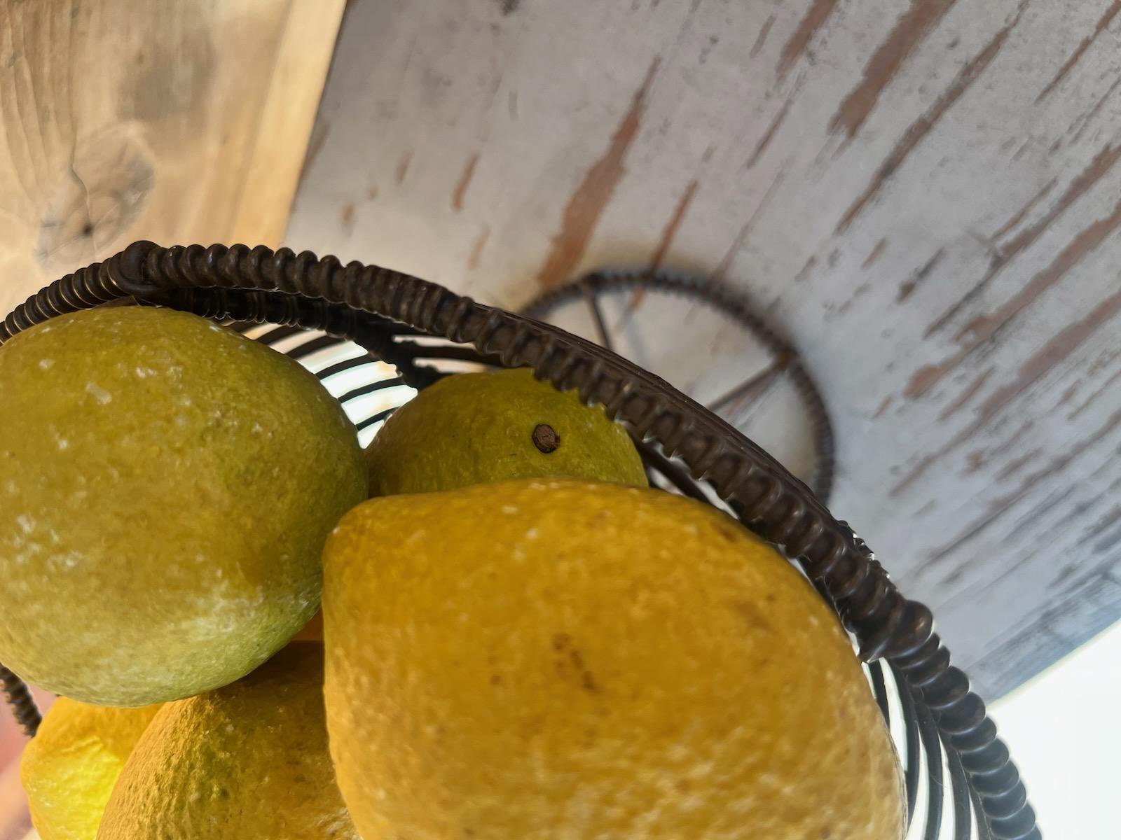 Americano Cestino in filo di ferro del XIX secolo con nove limoni in alabastro in vendita