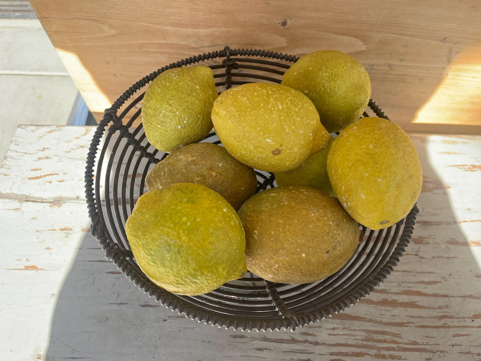 Dipinto a mano Cestino in filo di ferro del XIX secolo con nove limoni in alabastro in vendita