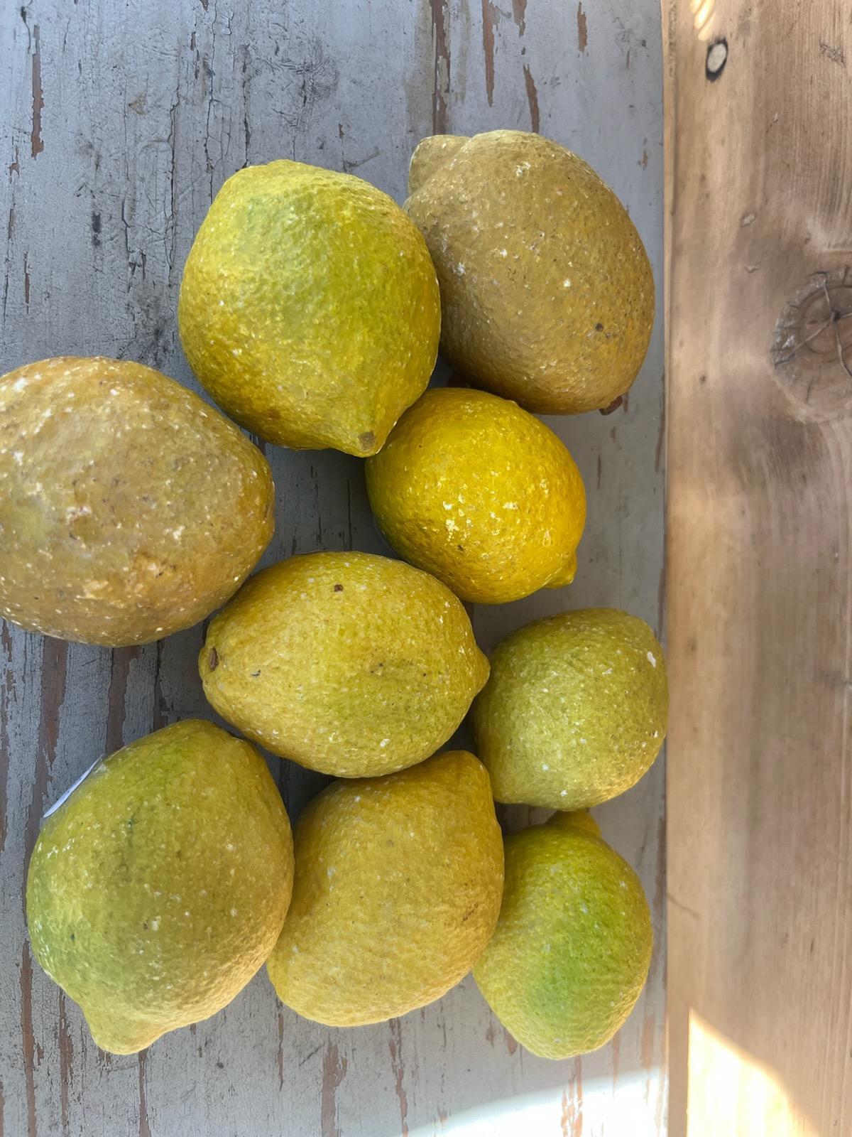 Cestino in filo di ferro del XIX secolo con nove limoni in alabastro In condizioni buone in vendita a Los Angeles, CA