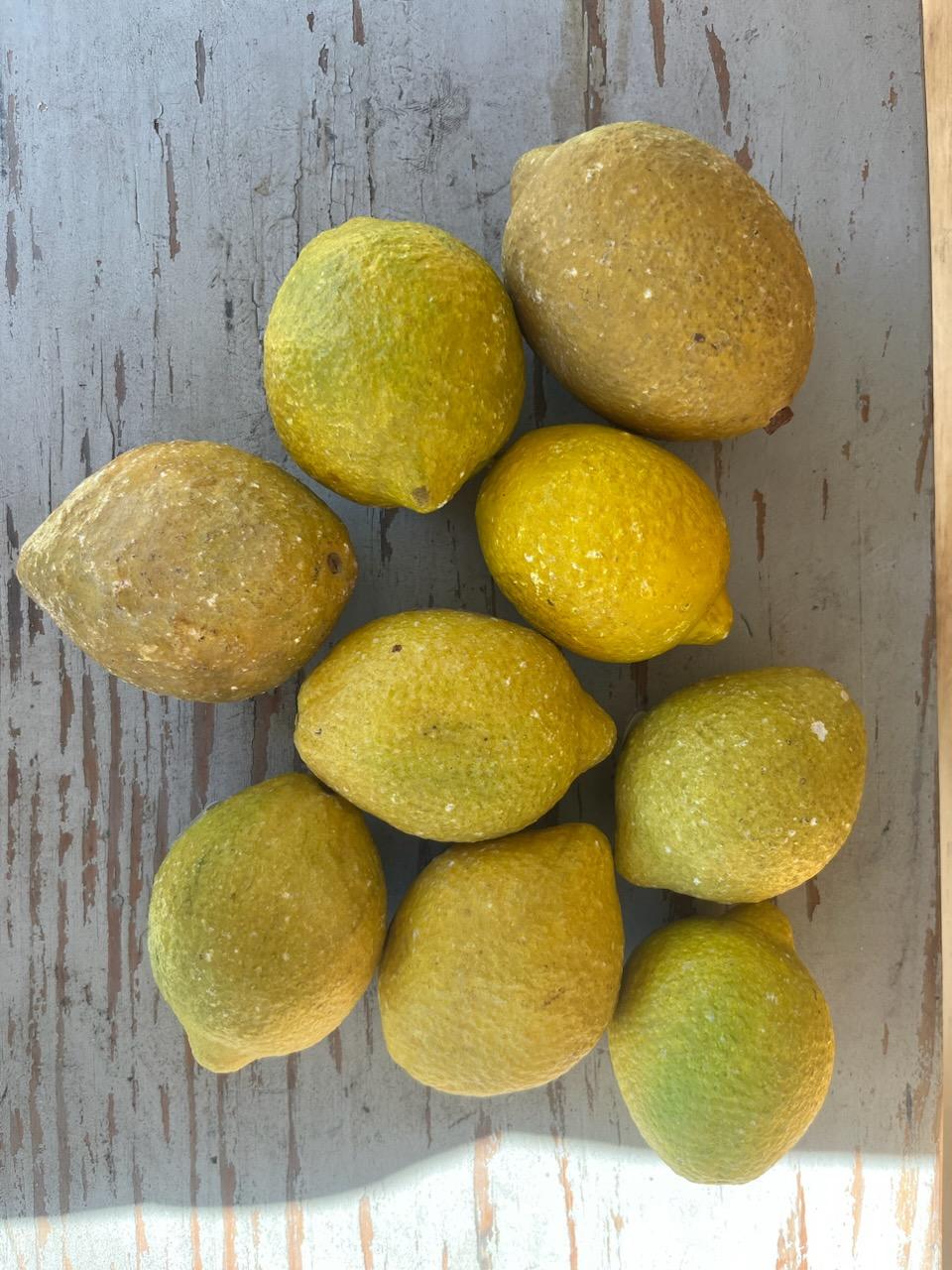 Inizio XX secolo Cestino in filo di ferro del XIX secolo con nove limoni in alabastro in vendita