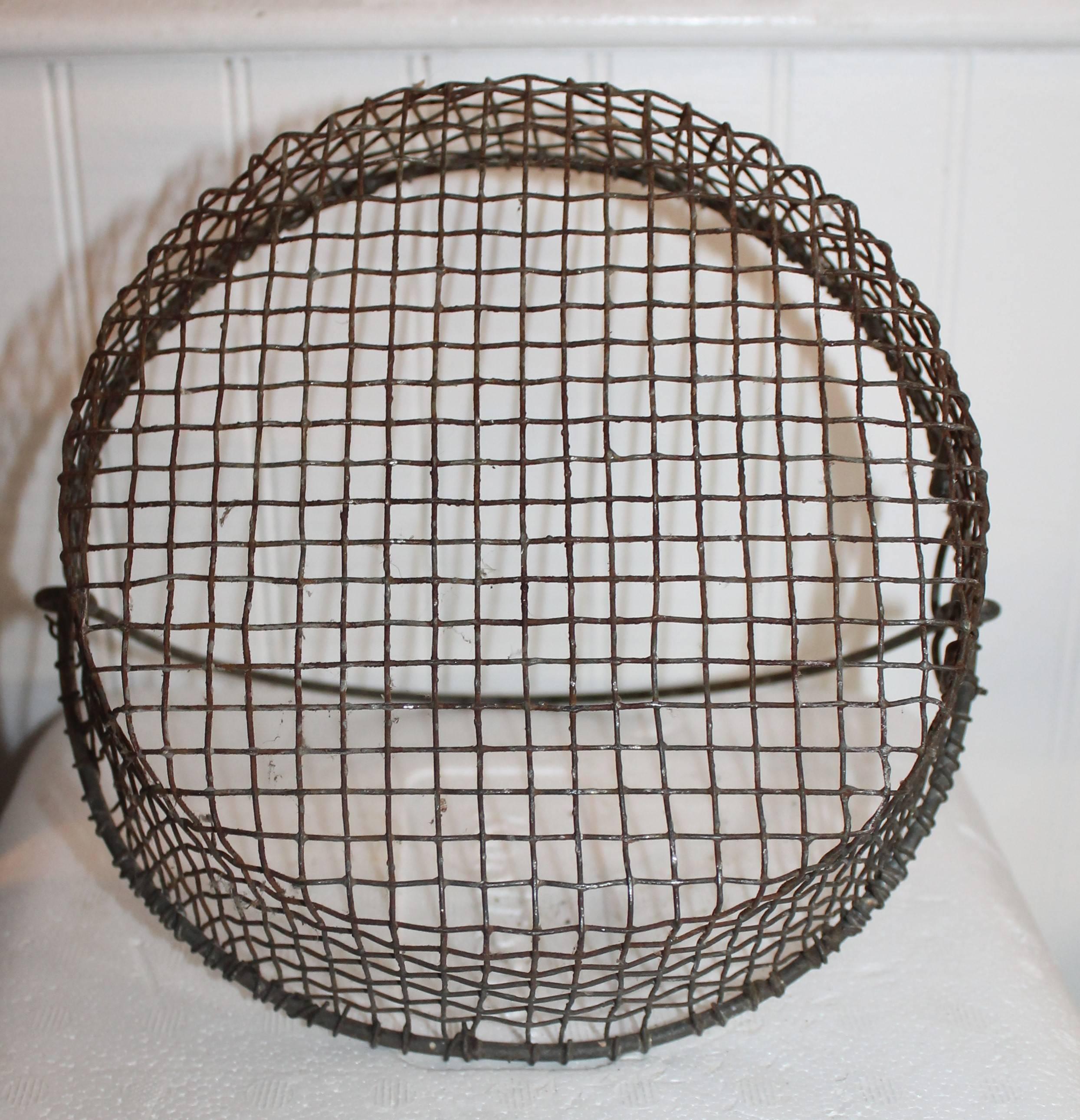 American 19th Century Wire Basket with Six-Stone Lemons For Sale
