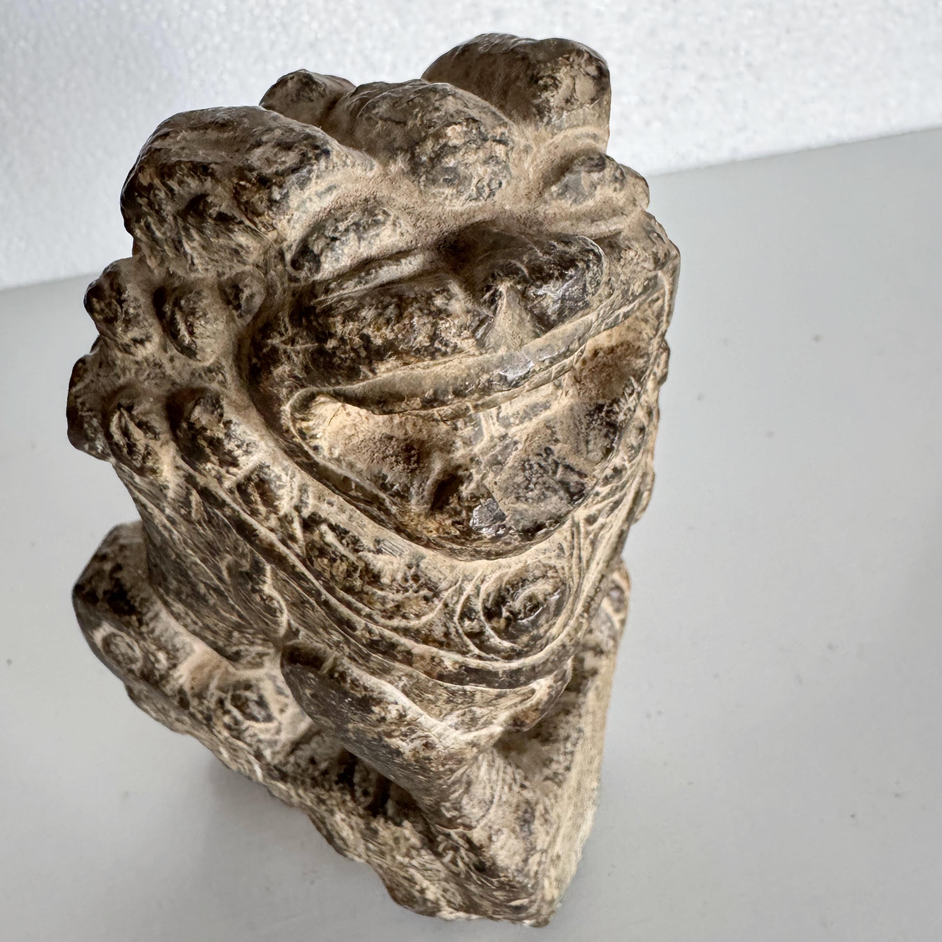 19the Century Stone Shanxi Lion Bon état à Singapore, SG
