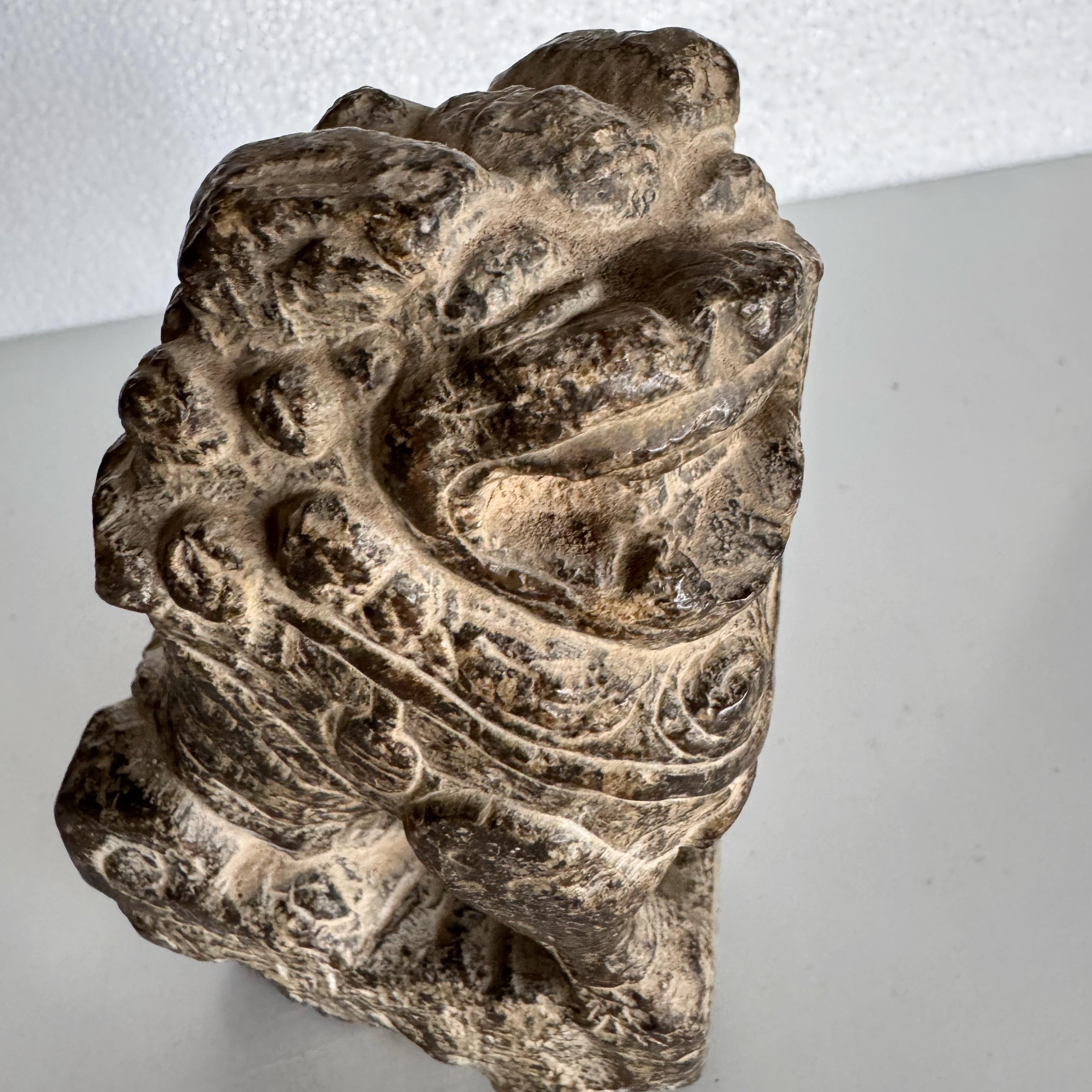 Pierre 19the Century Stone Shanxi Lion