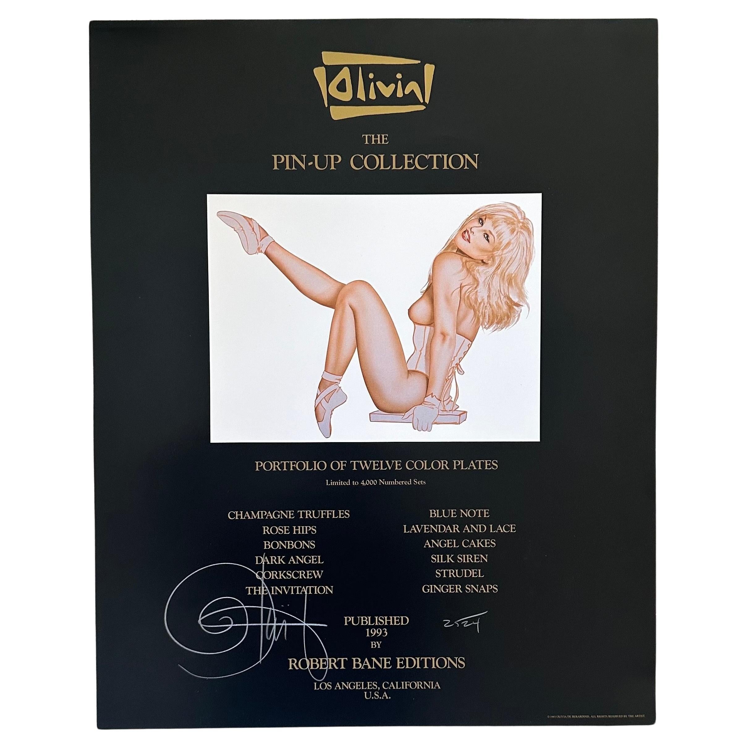 1st Edition Portfolio of Erotica "The Pin-Up Collection" by Olivia de Berardinis For Sale