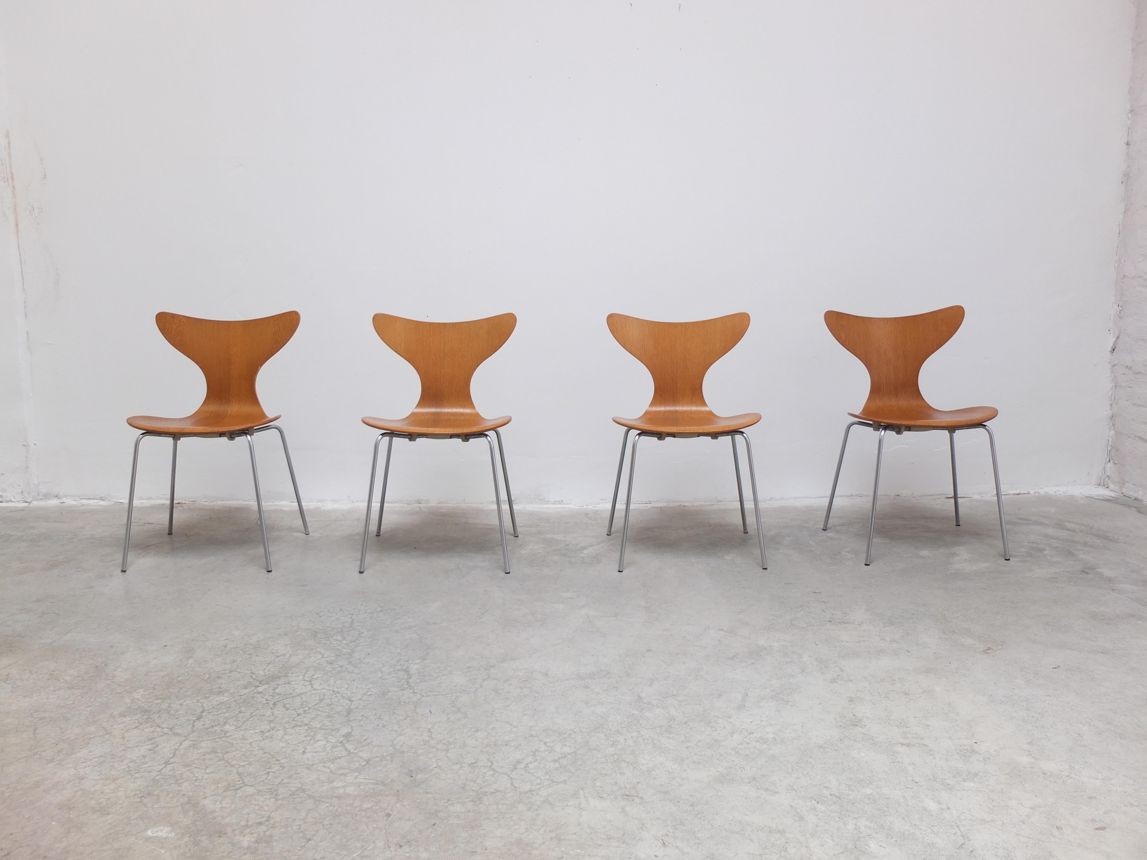 Rare série de 4 chaises 