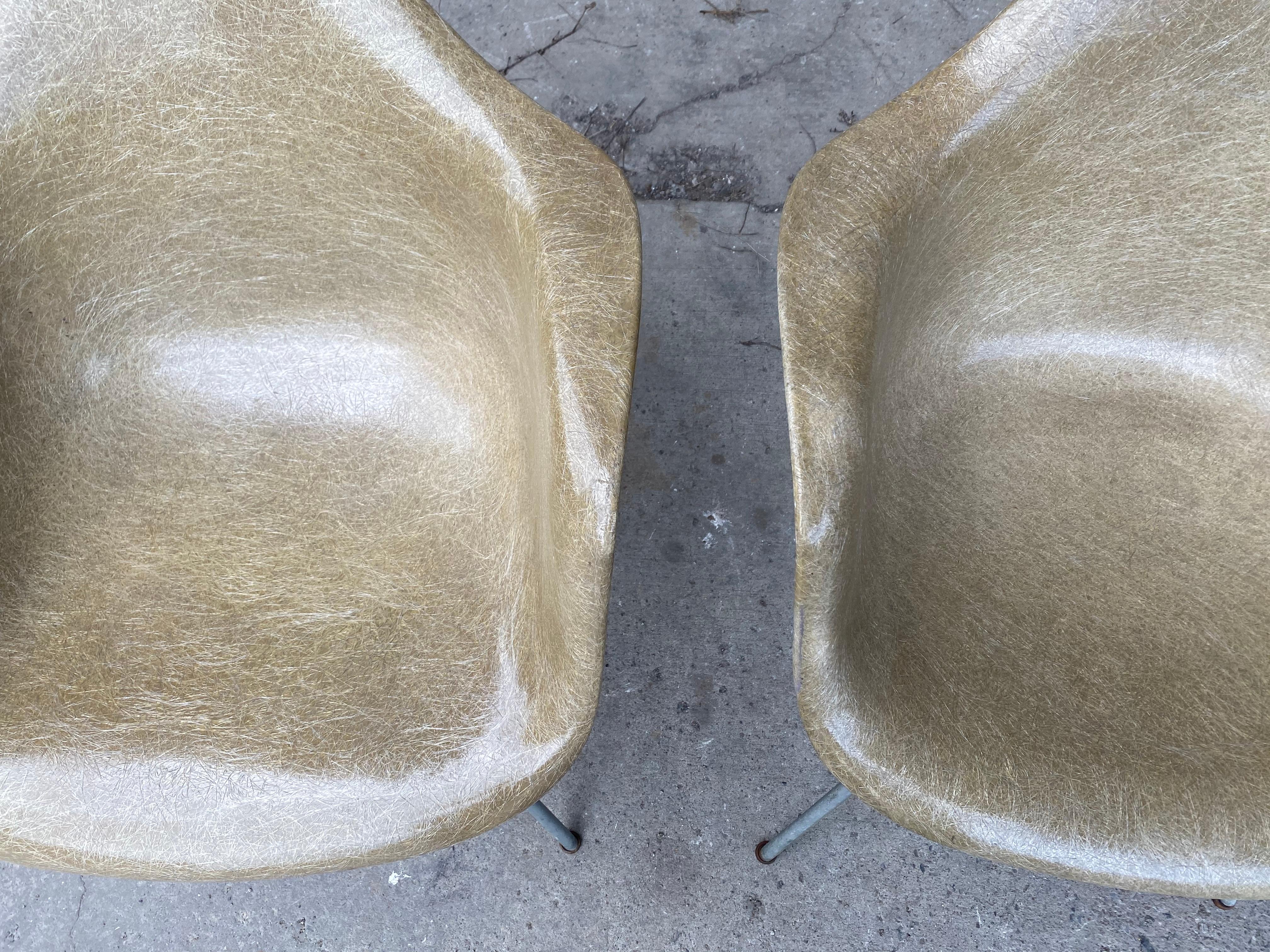 Sedia in plastica con bordo a corda di prima generazione di Charles Eames Zenith/Herman Miller in vendita 4