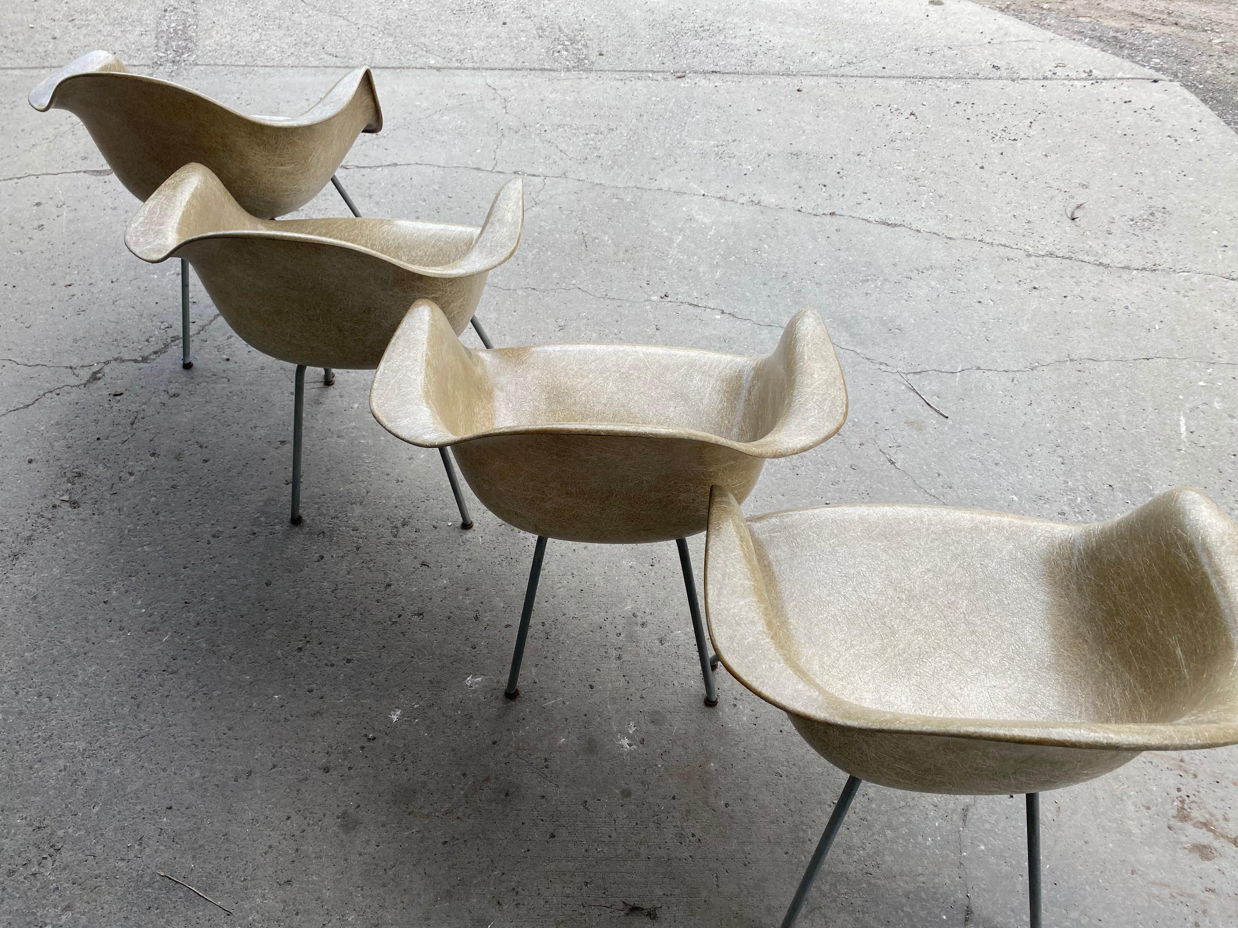 Charles Eames Zenith/Herman Miller, Sessel mit Kunststoffseil, 1. Generation im Angebot 6
