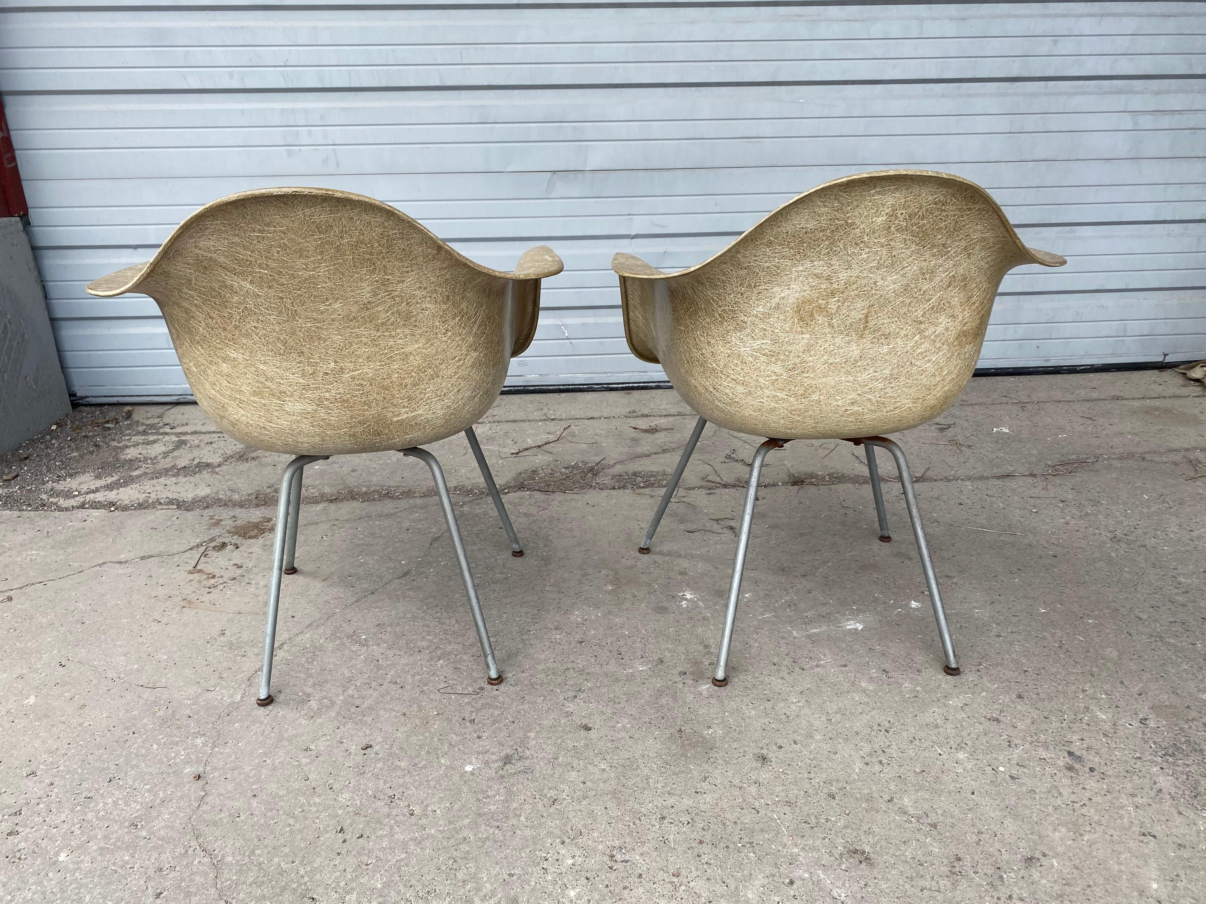 Chaise Zenith/Herman Miller de 1ère génération en plastique et bordure en corde Charles Eames en vente 7