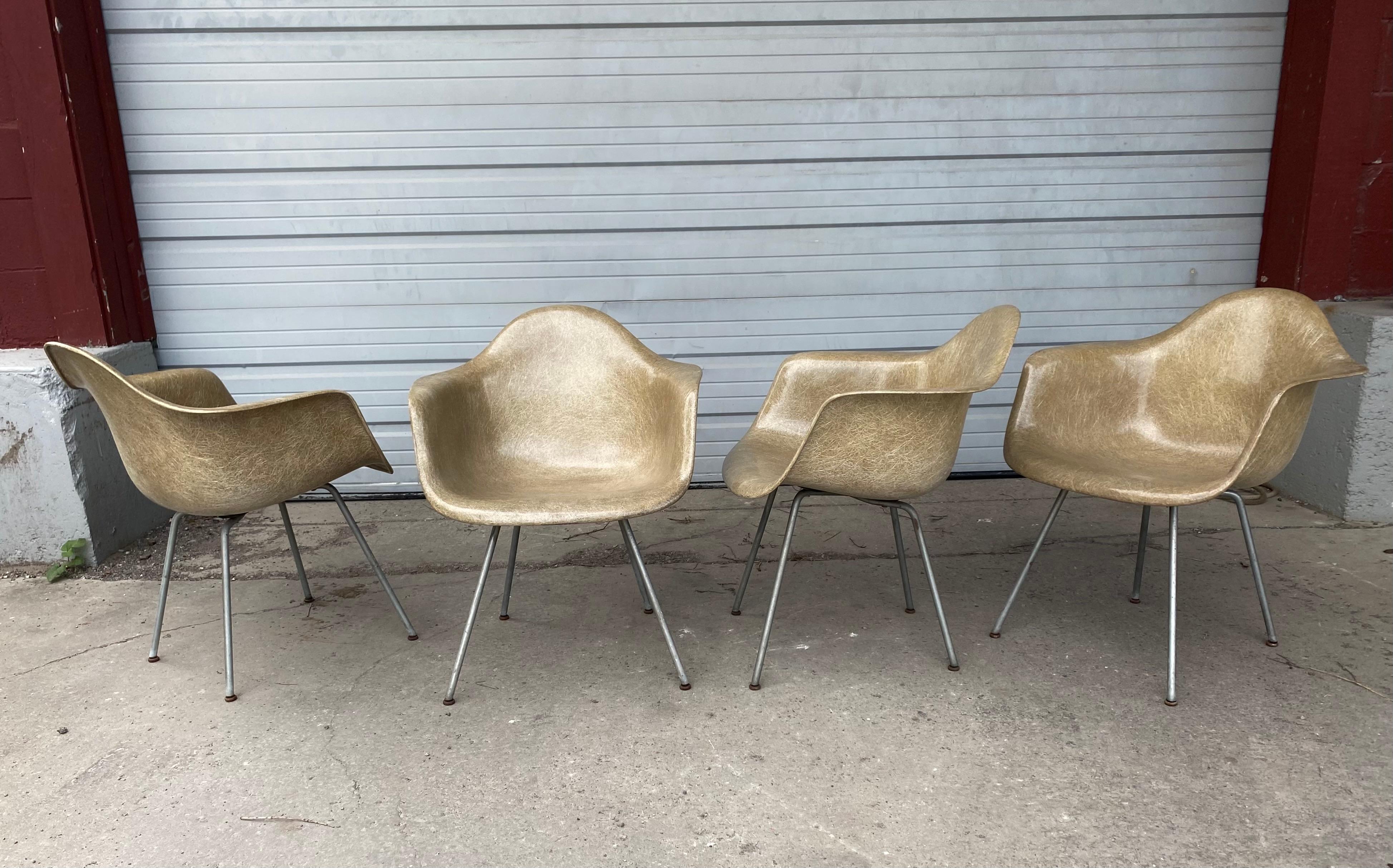 Chaise Zenith/Herman Miller de 1ère génération en plastique et bordure en corde Charles Eames Bon état - En vente à Buffalo, NY