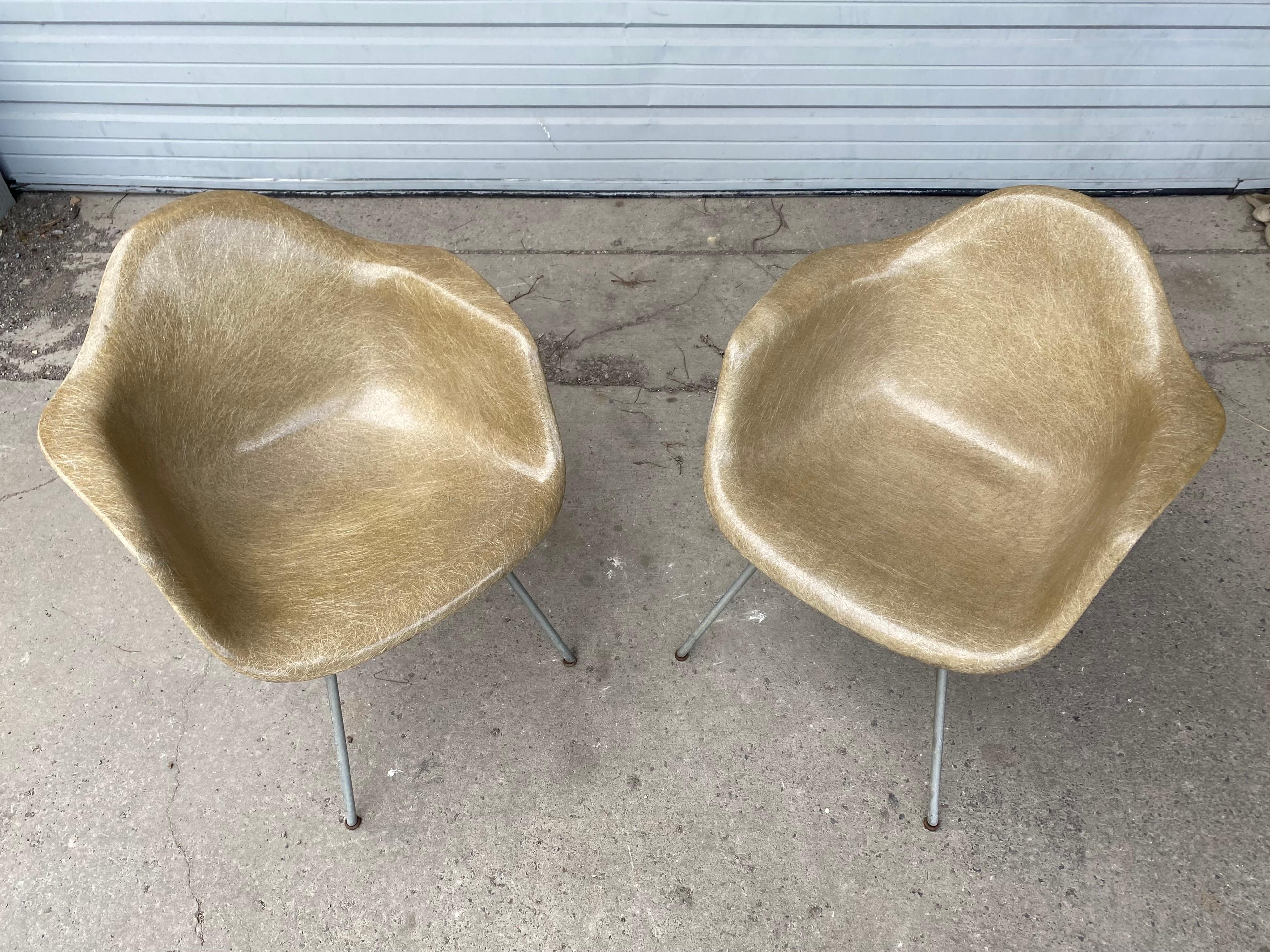 Charles Eames Zenith/Herman Miller, Sessel mit Kunststoffseil, 1. Generation im Angebot 2