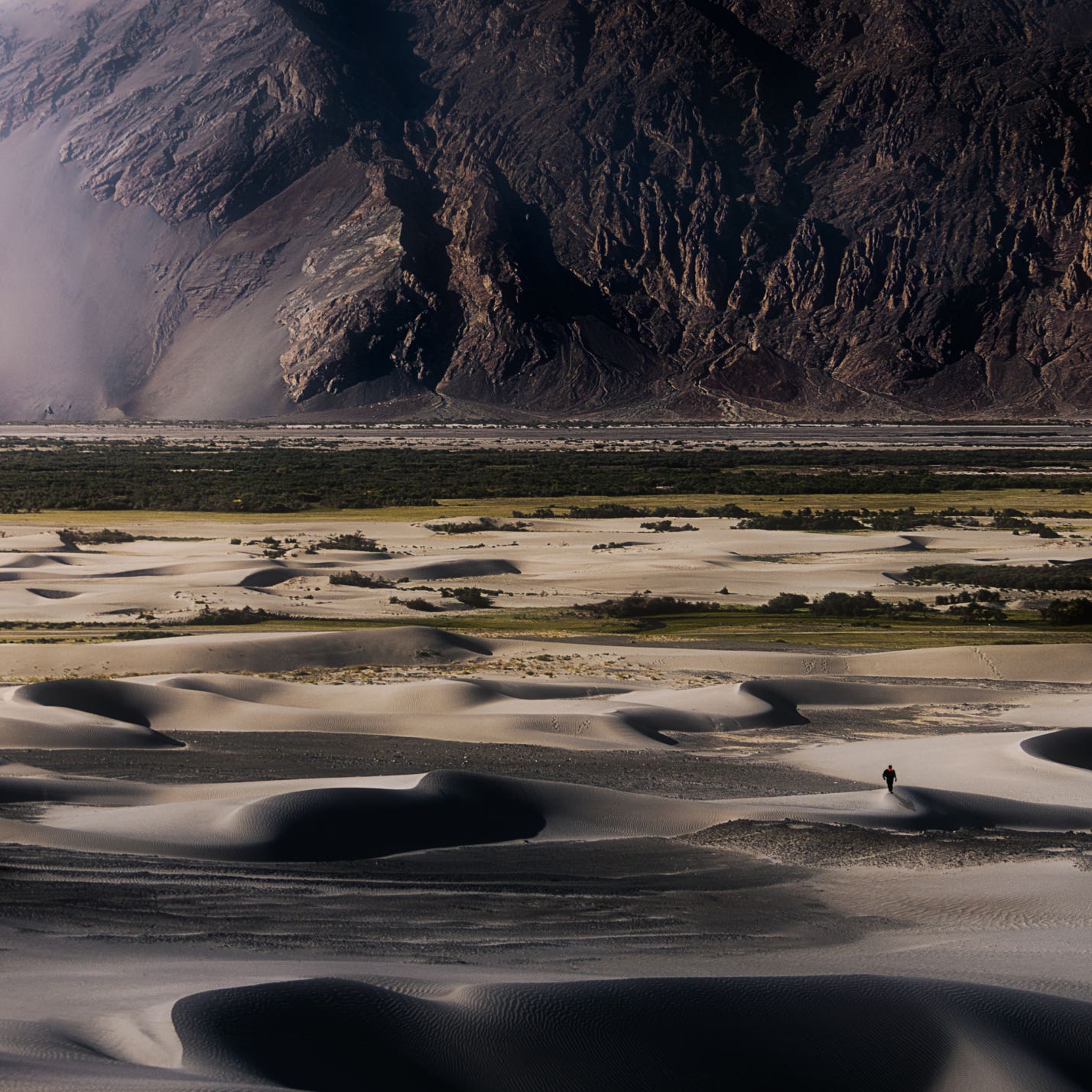 Sand dunes of Nubra