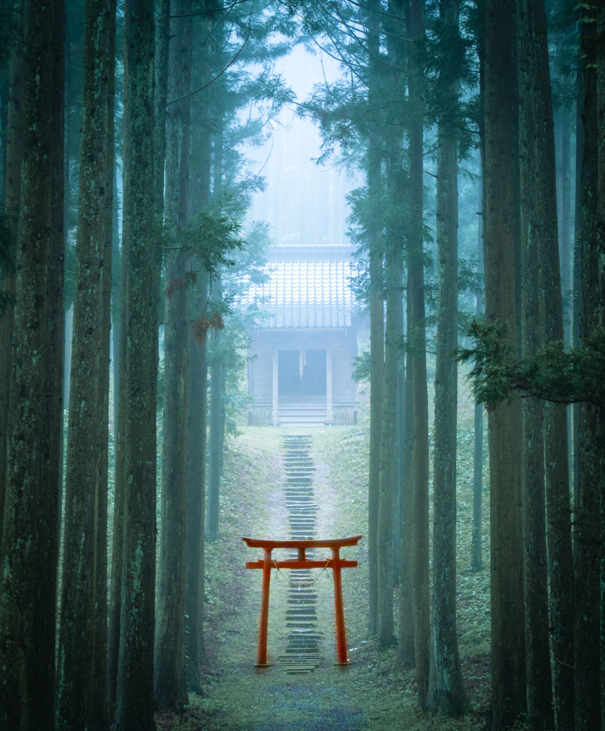 Gateway to Another World