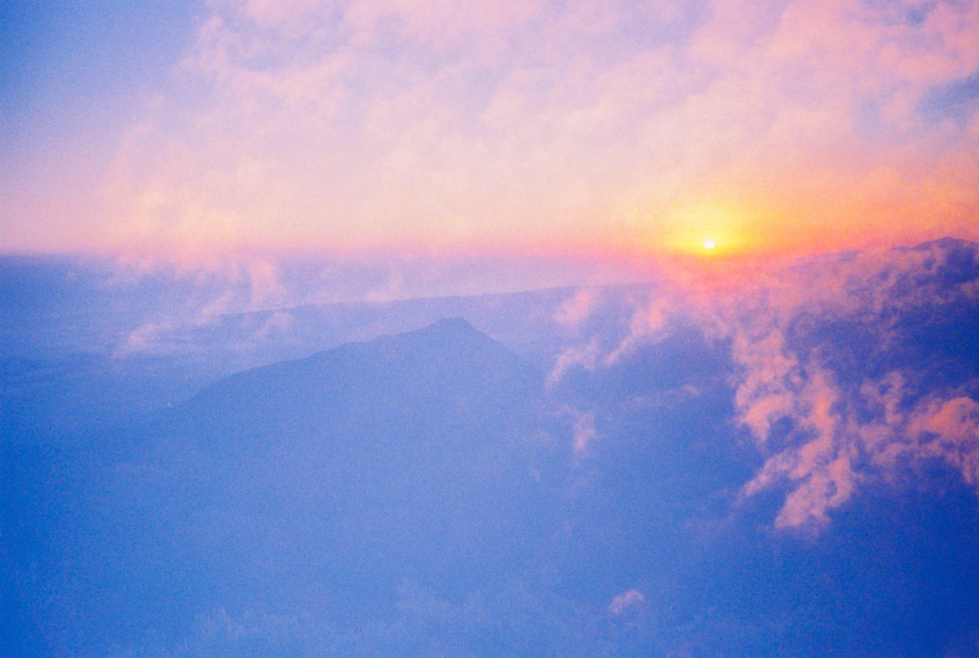 the blue dream that never fades