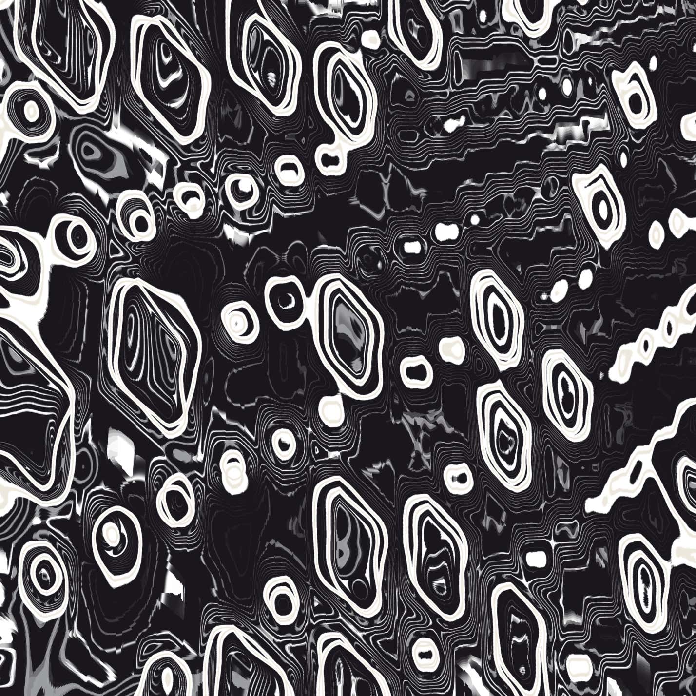 Wonderfully Silent Conversations (w/HWF)