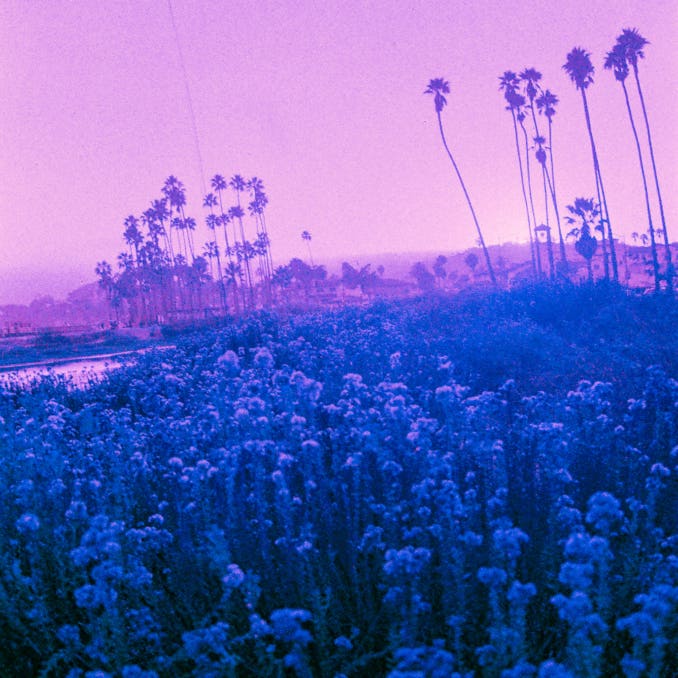 perhaps we shouldn't be here