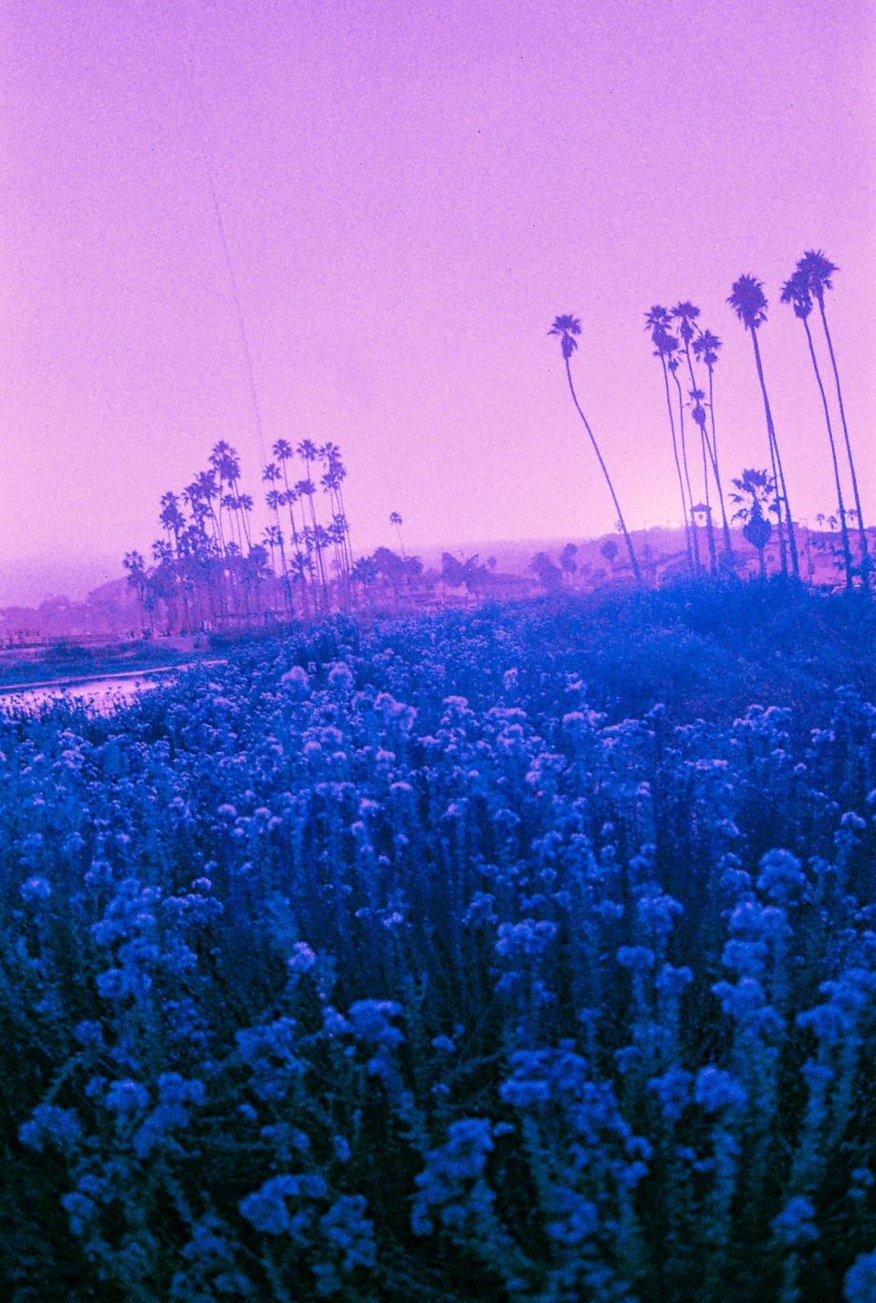 perhaps we shouldn't be here